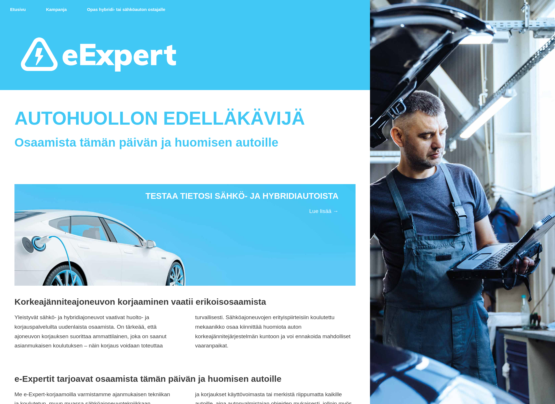 Screenshot for e-expert.fi