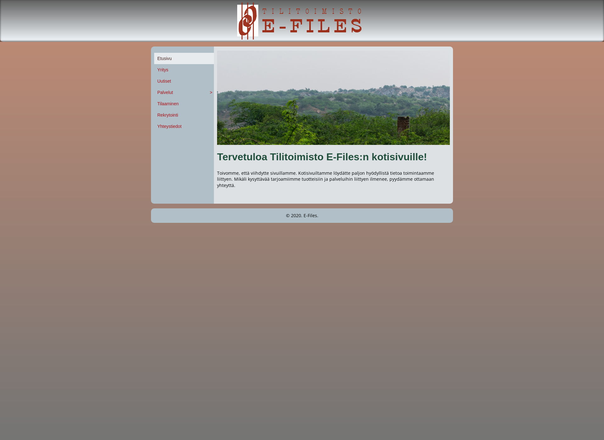 Skärmdump för e-files.fi
