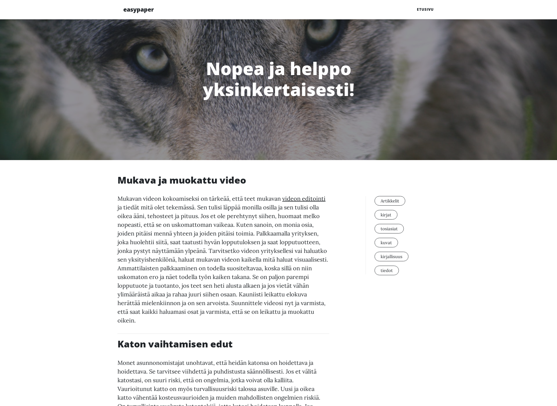 Skärmdump för easypaper.fi