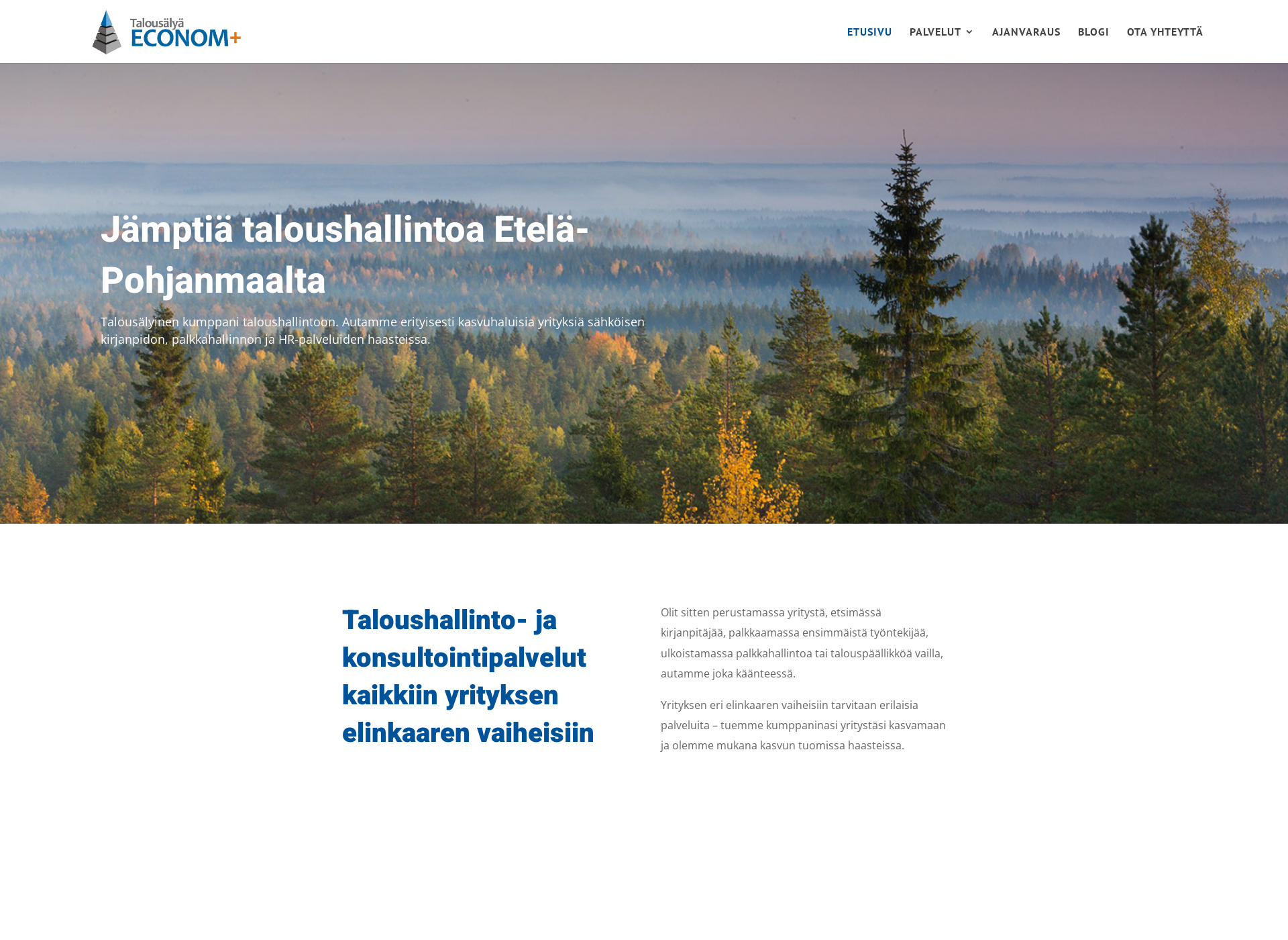 Screenshot for econom.fi