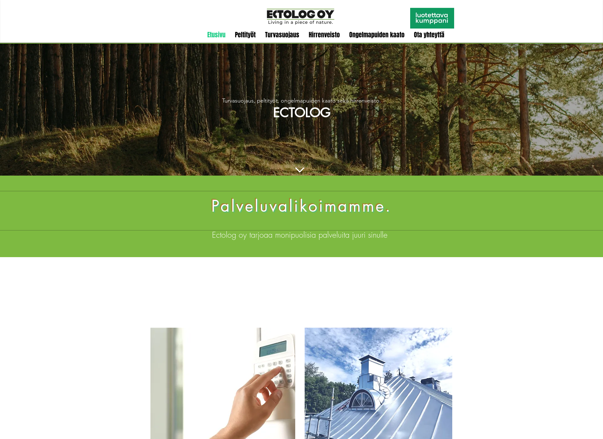 Skärmdump för ectolog.fi