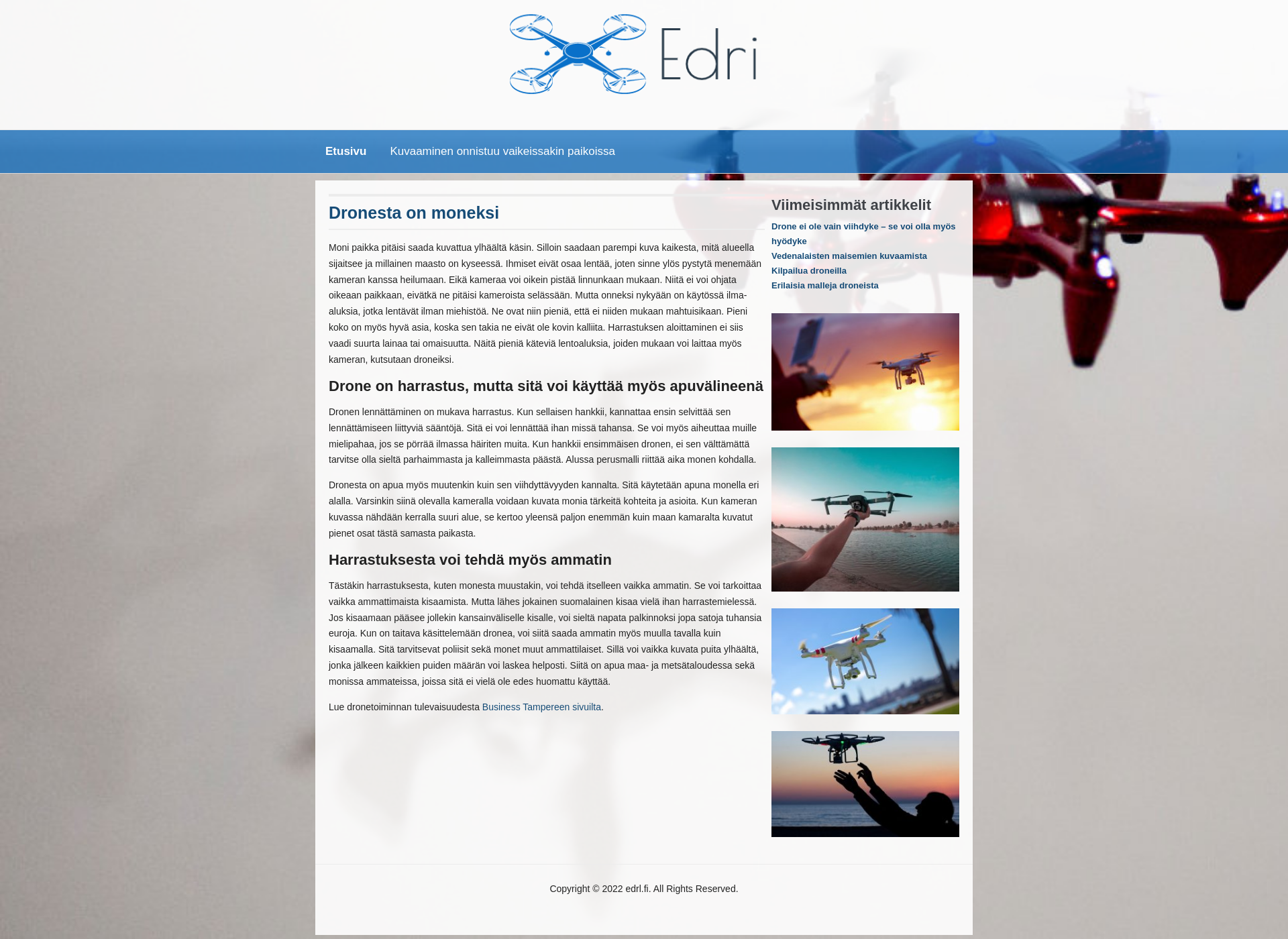 Screenshot for edrl.fi