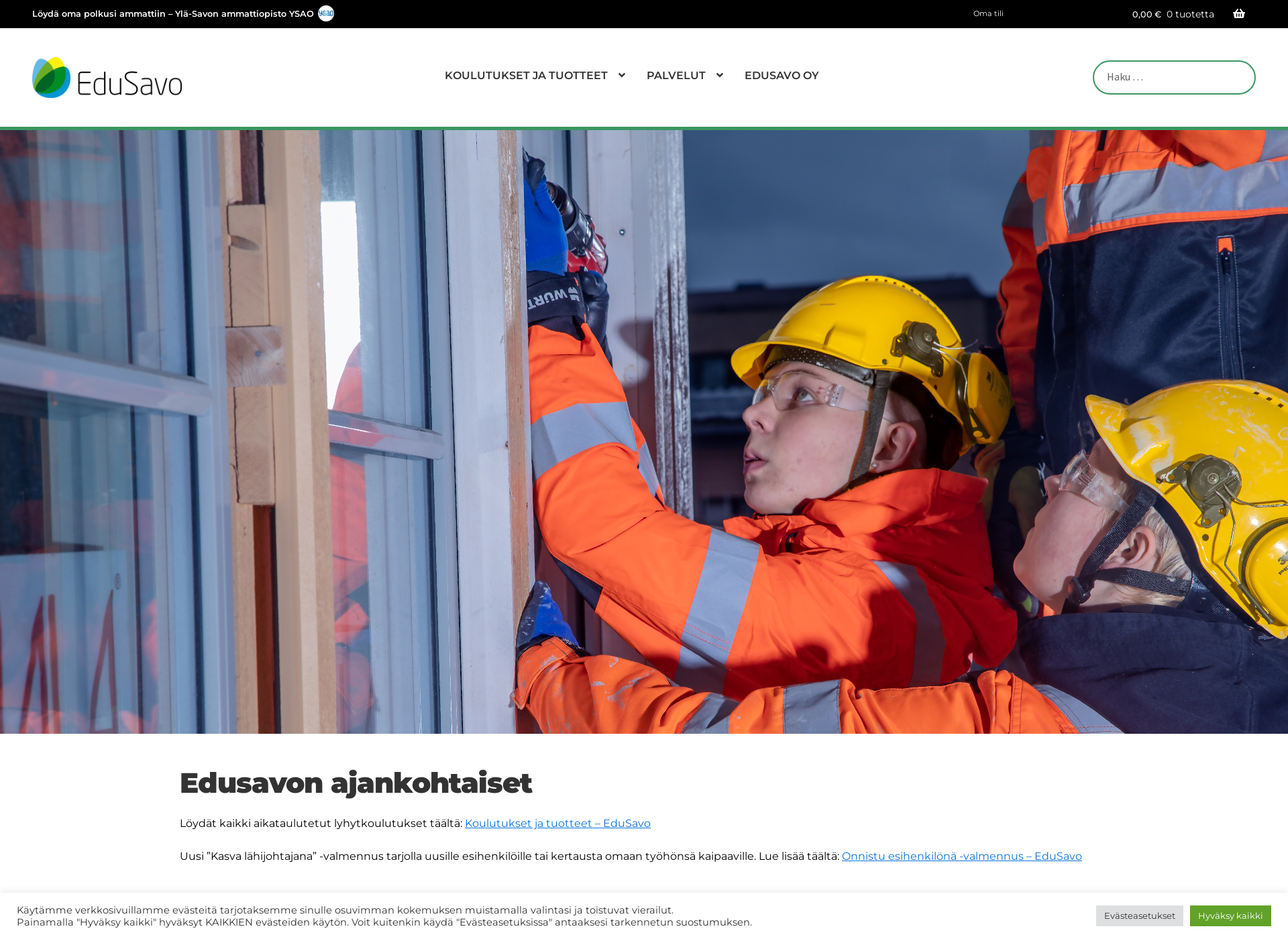 Skärmdump för edu4finland.fi
