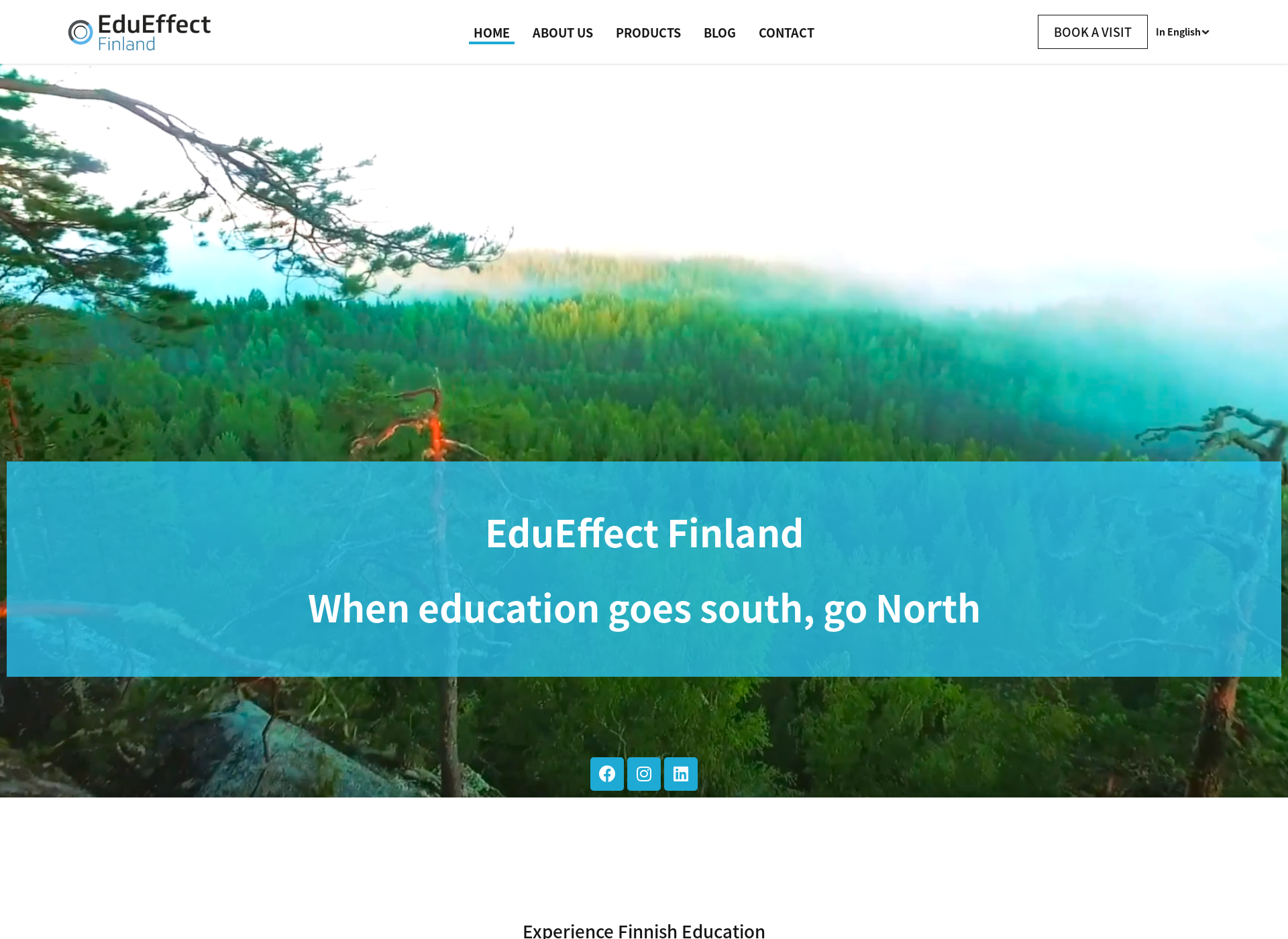 Screenshot for edueffect.fi