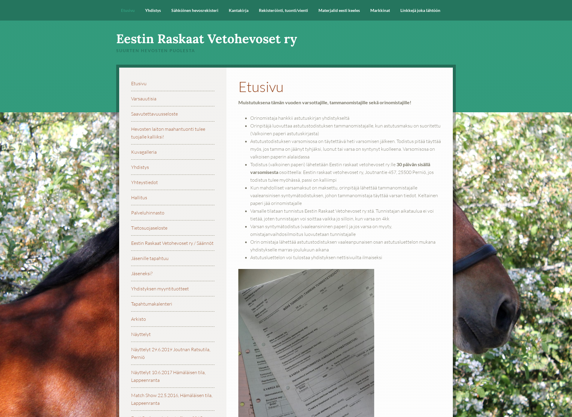 Screenshot for eestinraskaatvetohevoset.fi