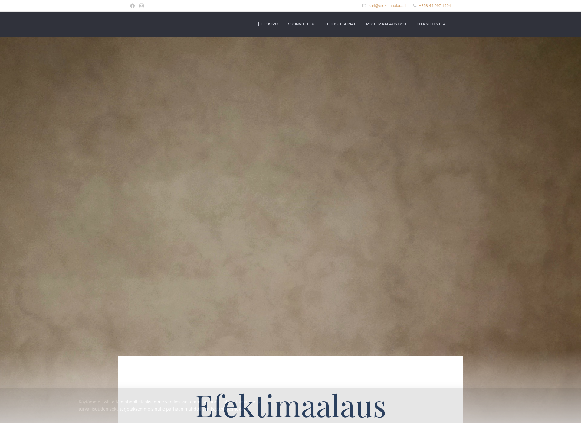 Screenshot for efektimaalaus.fi