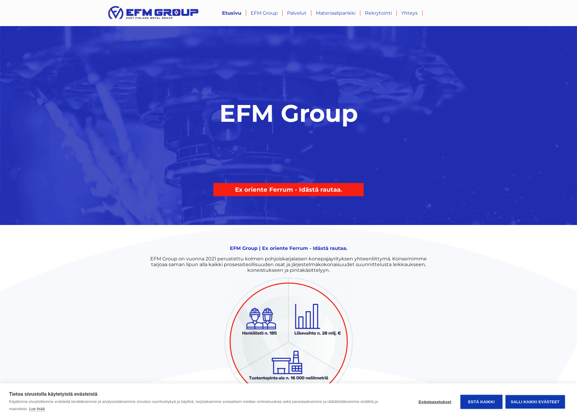 Skärmdump för efmgroup.fi