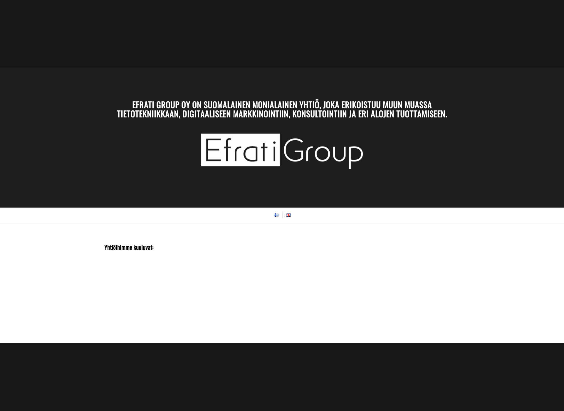 Screenshot for efratigroup.fi