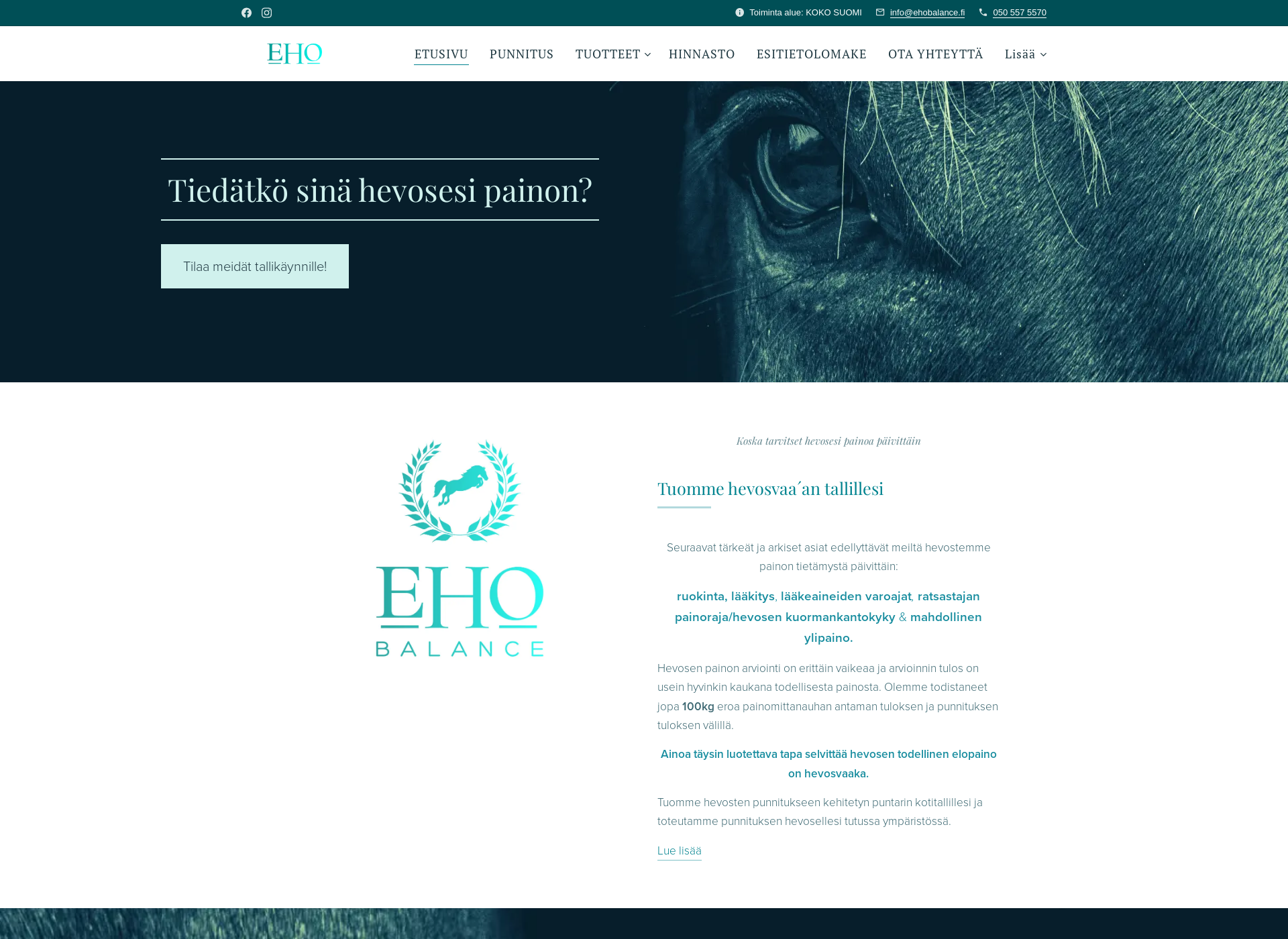 Screenshot for ehobalance.fi