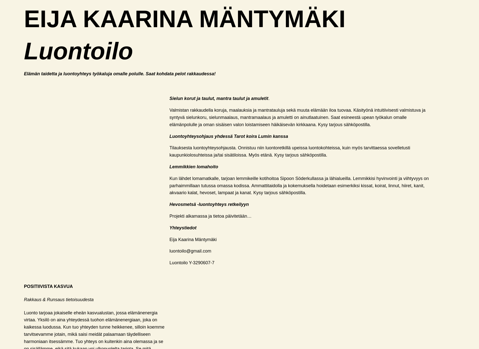 Screenshot for eijakaarinamantymaki.fi