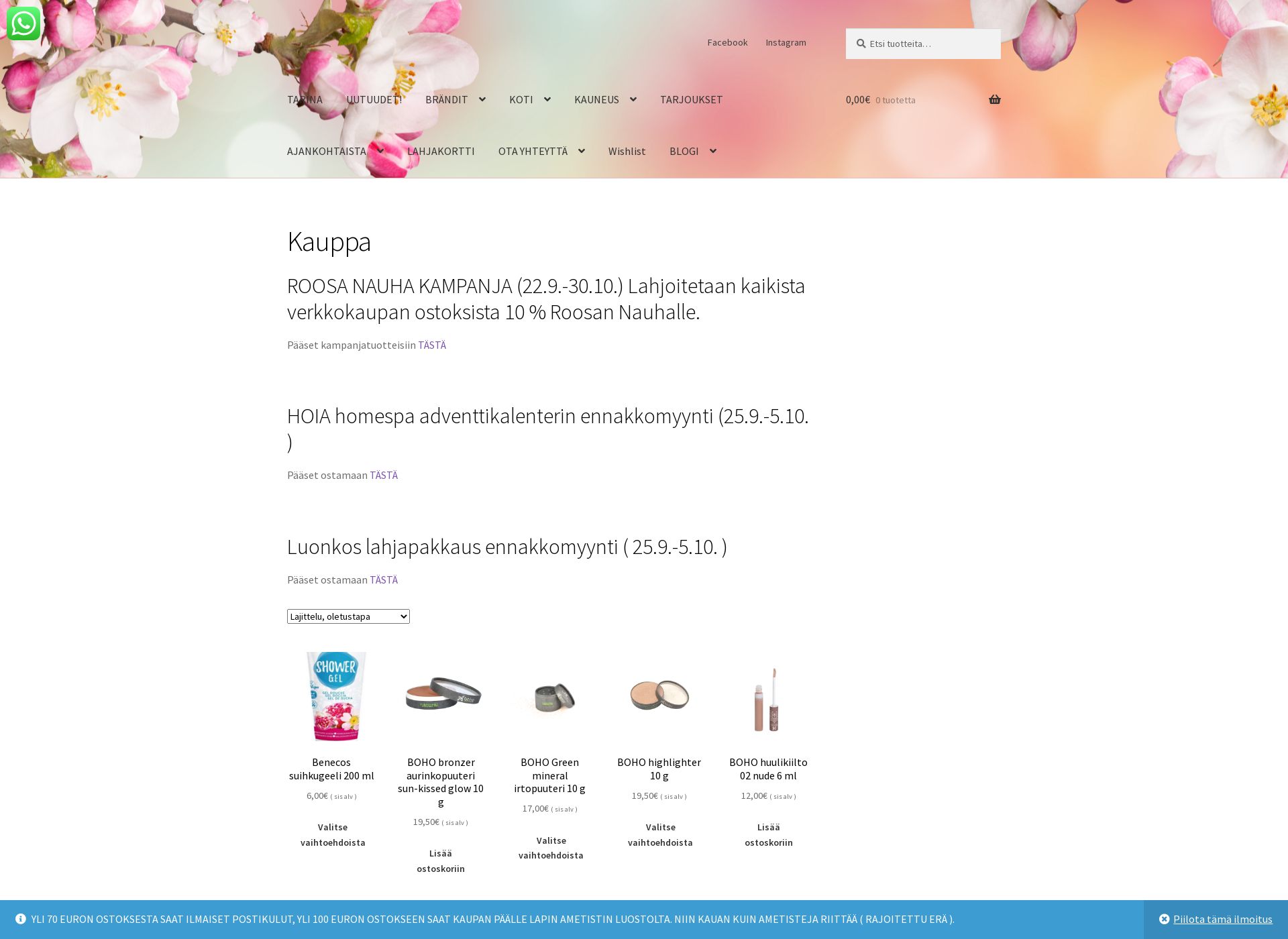Screenshot for eko-koti-kauneus.fi