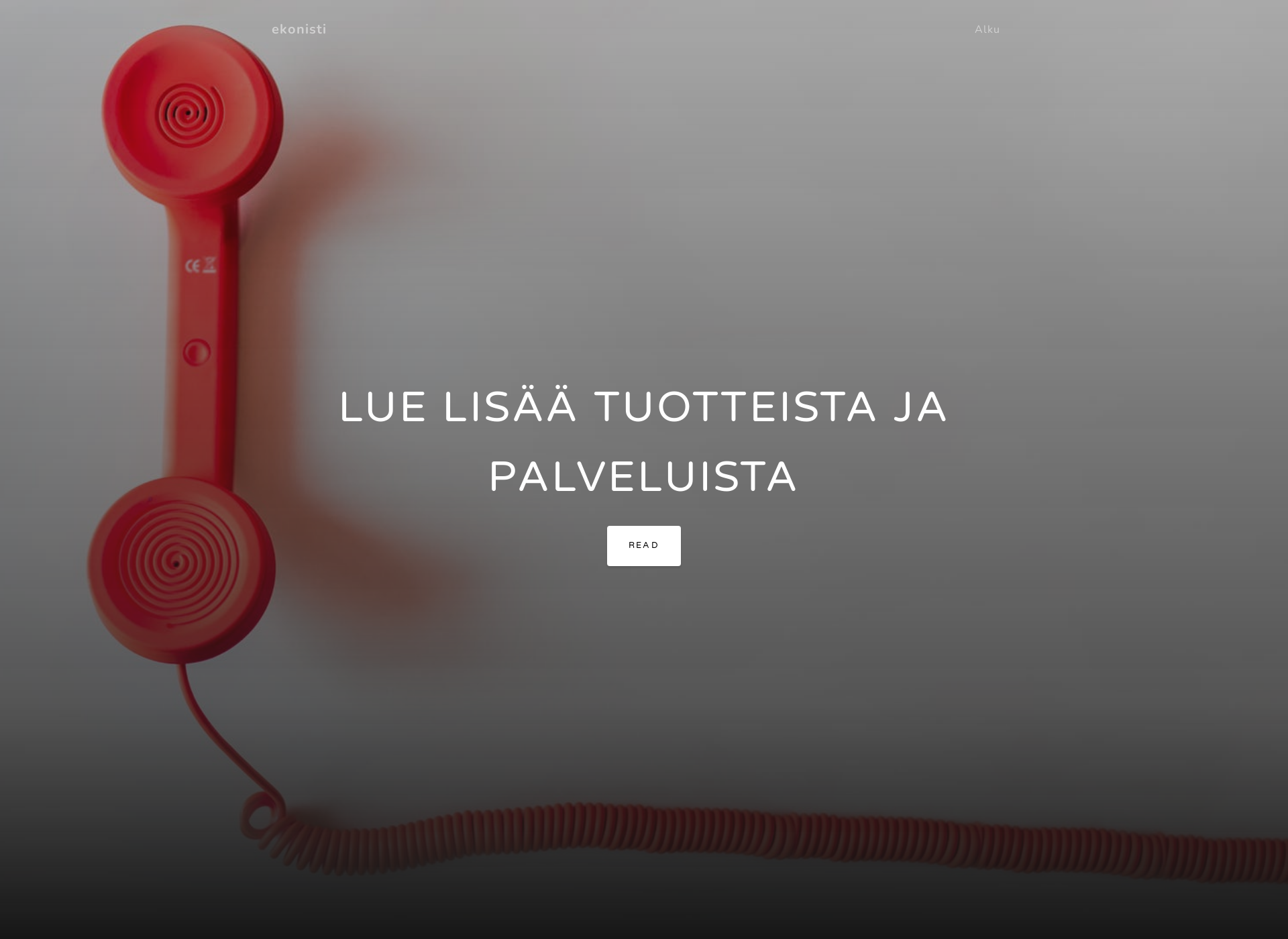 Screenshot for ekonisti.fi