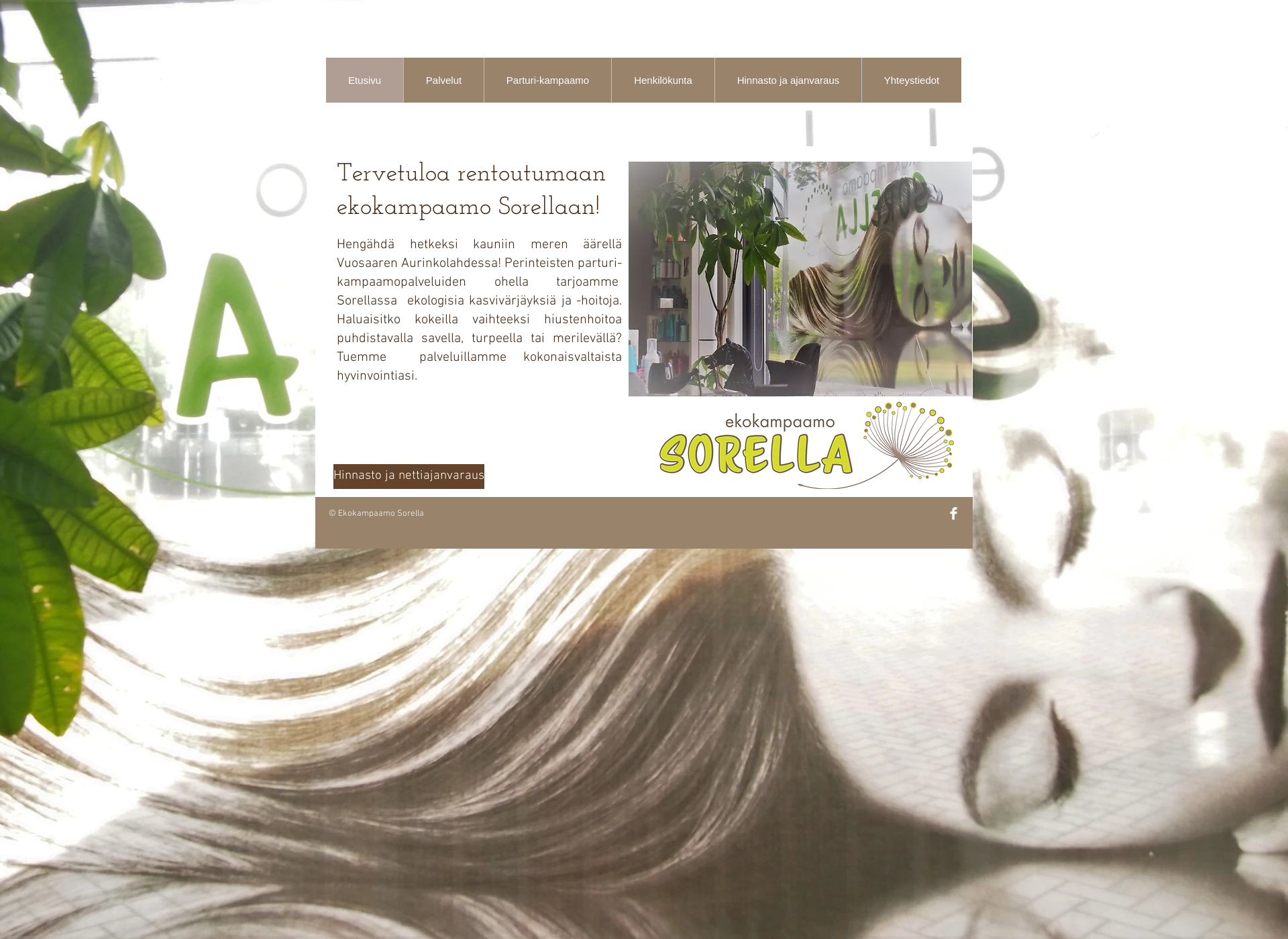 Screenshot for ekosorella.fi