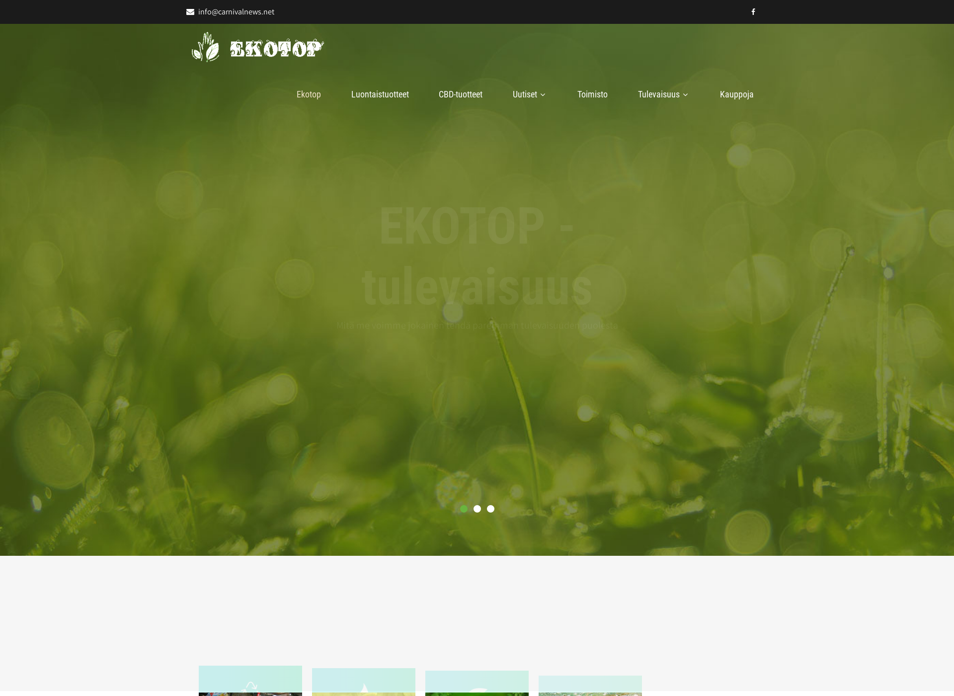 Skärmdump för ekotop.fi