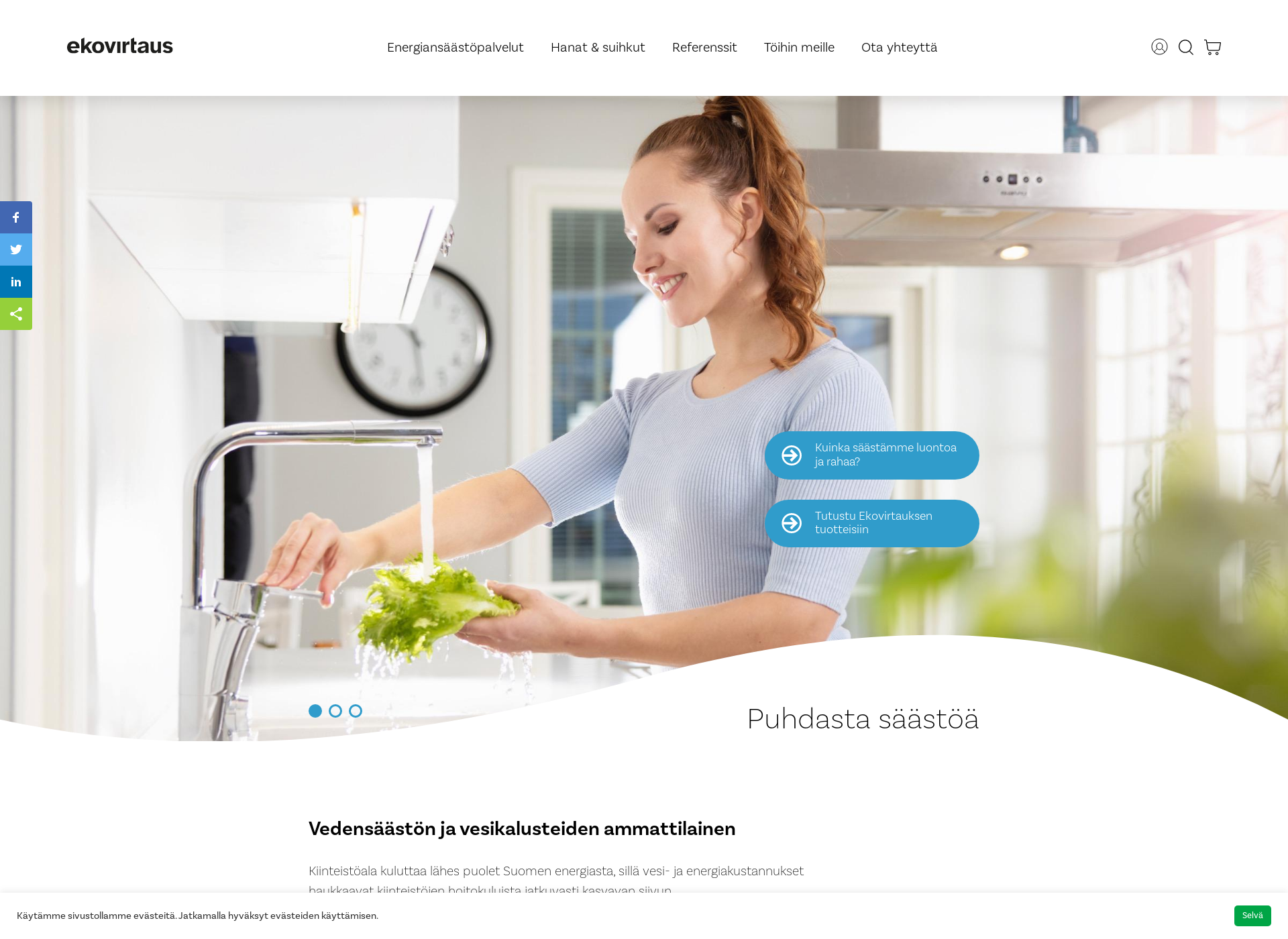 Skärmdump för ekovirtaus.fi