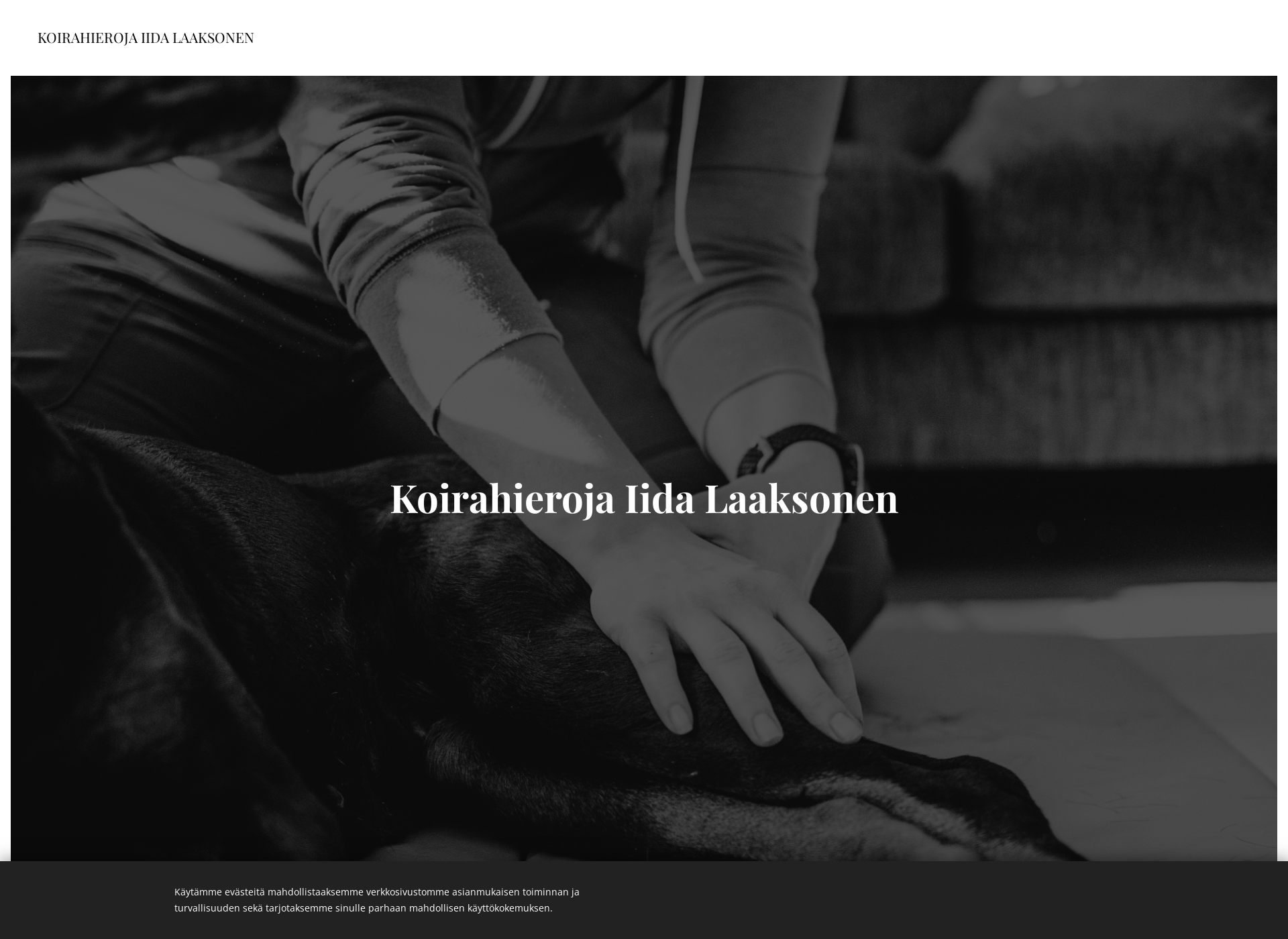 Screenshot for elainpalveluvahti.fi