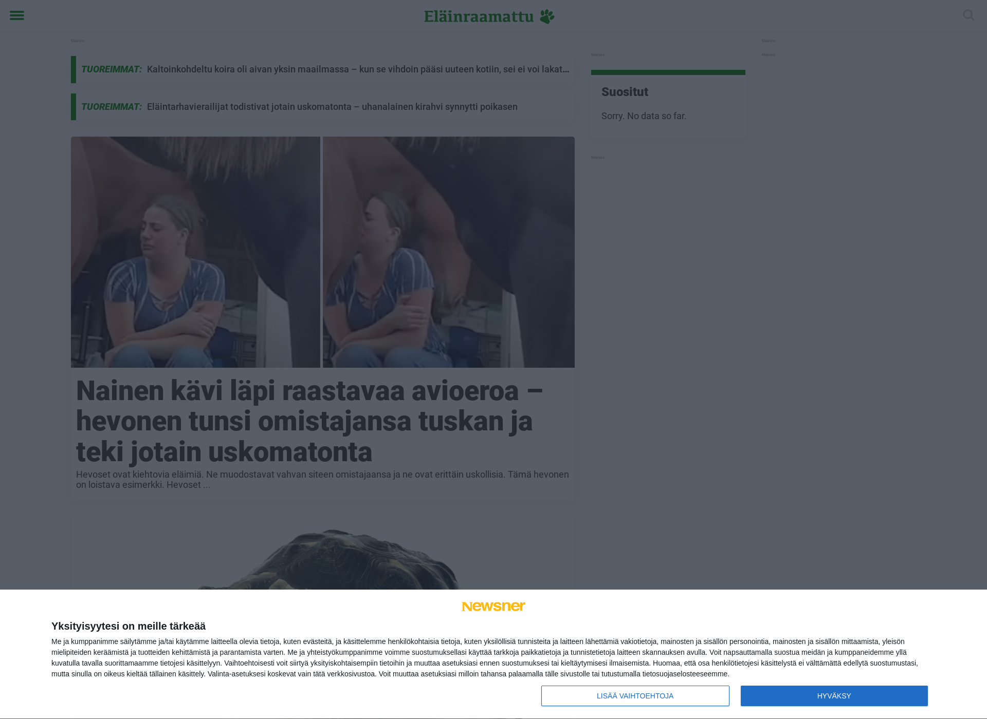 Skärmdump för elainraamattu.fi
