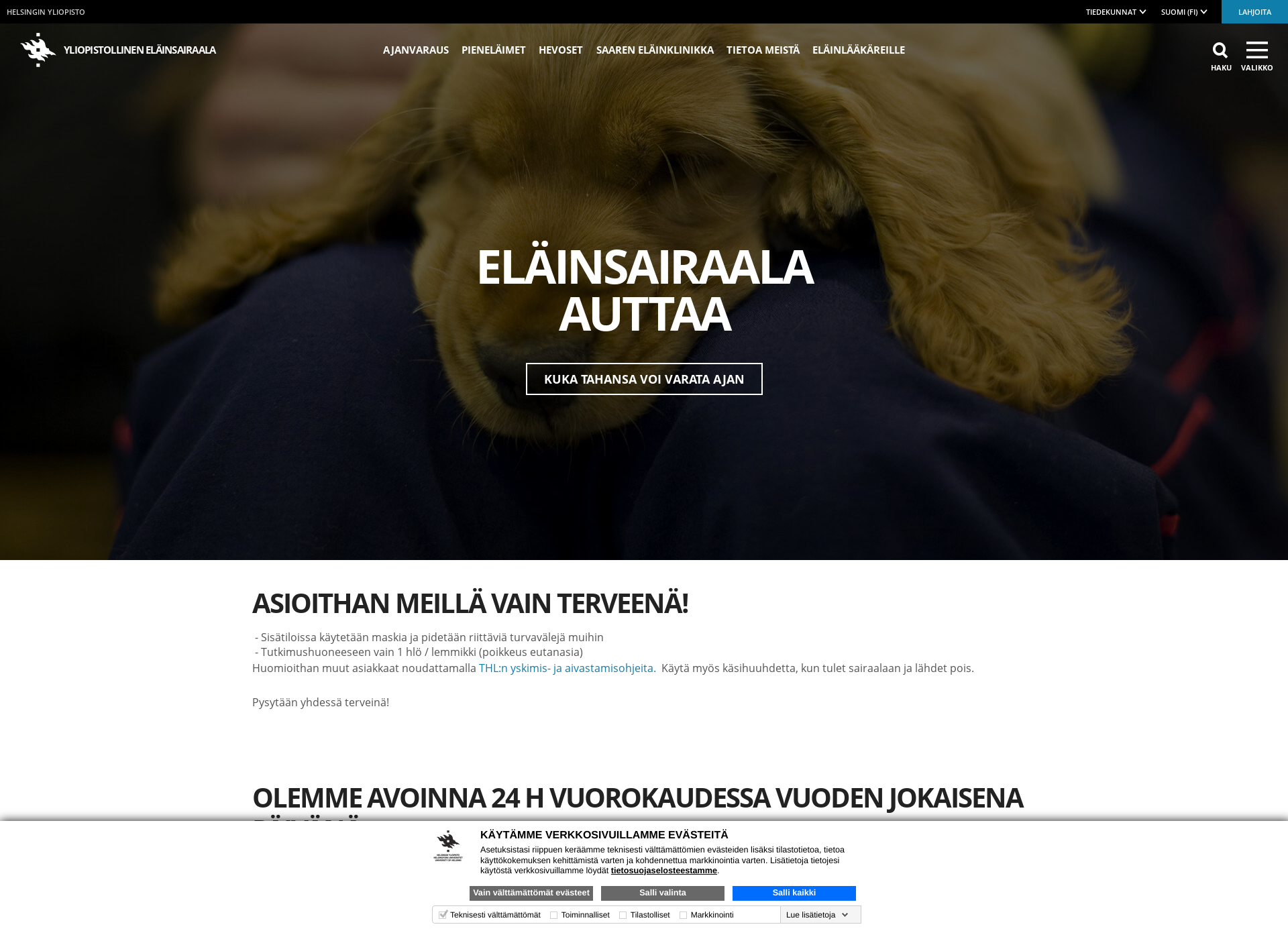 Skärmdump för elainsairaala.fi