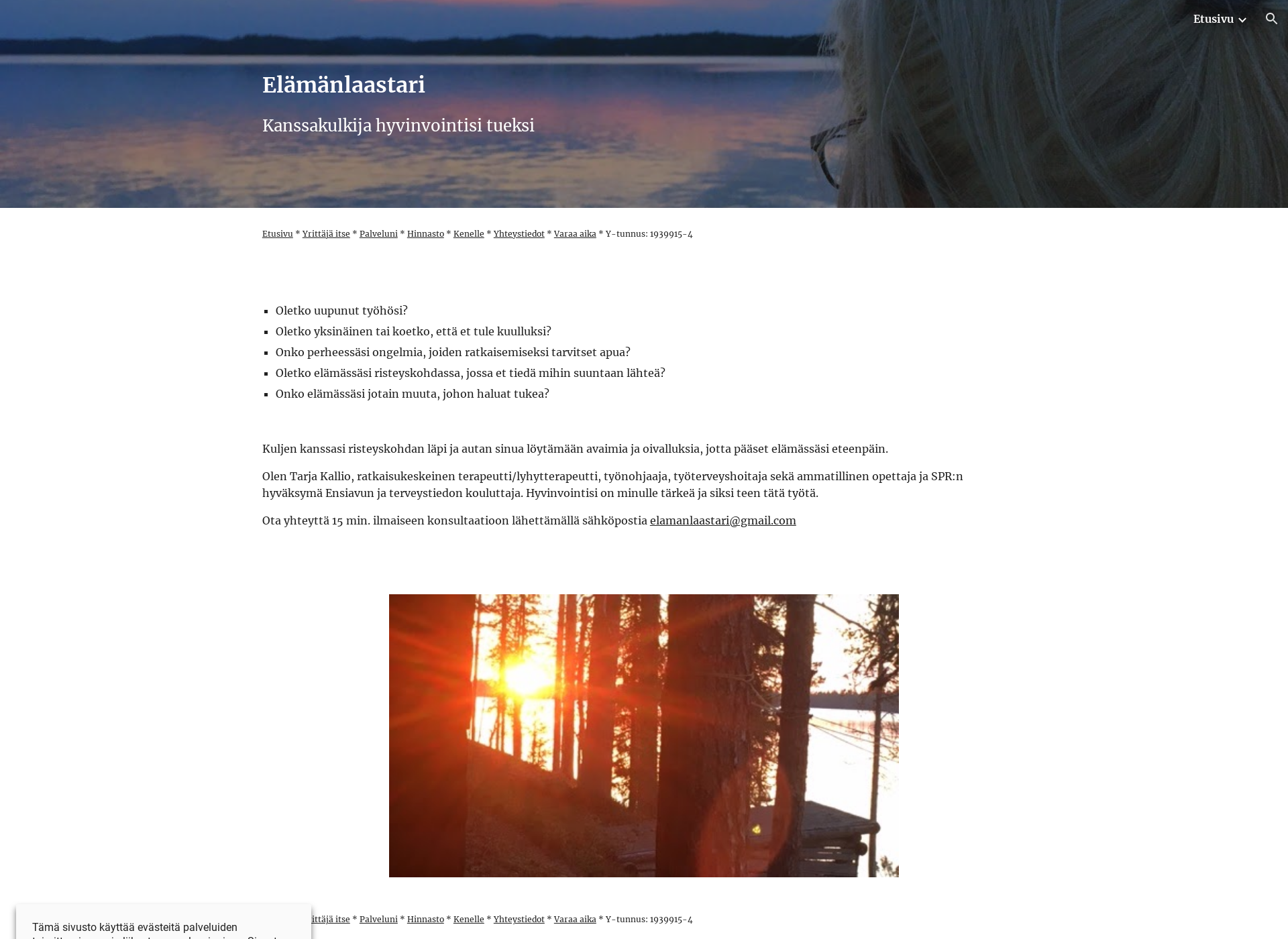 Screenshot for elamanlaastari.fi