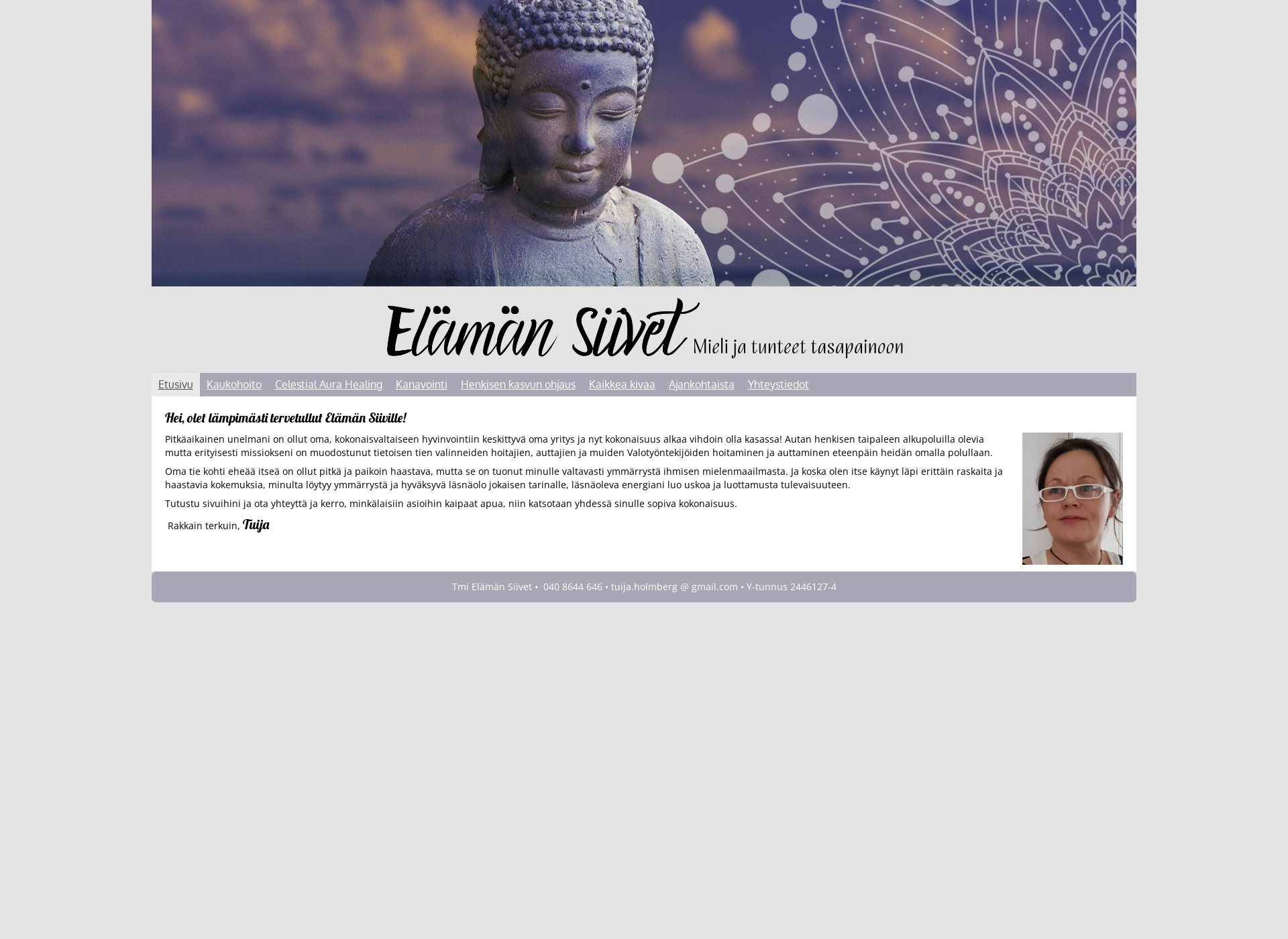 Screenshot for elamansiivet.fi