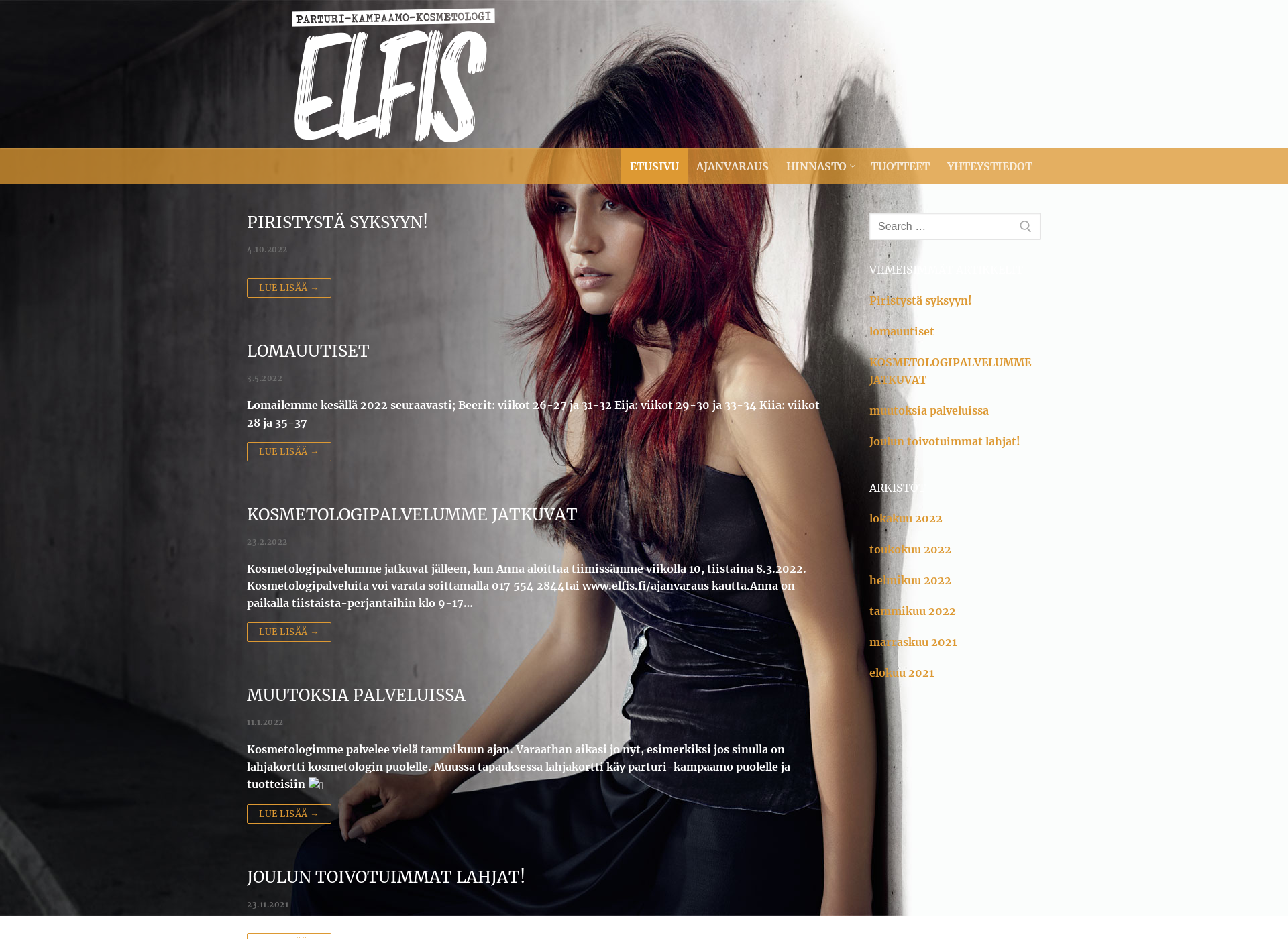 Screenshot for elfis.fi