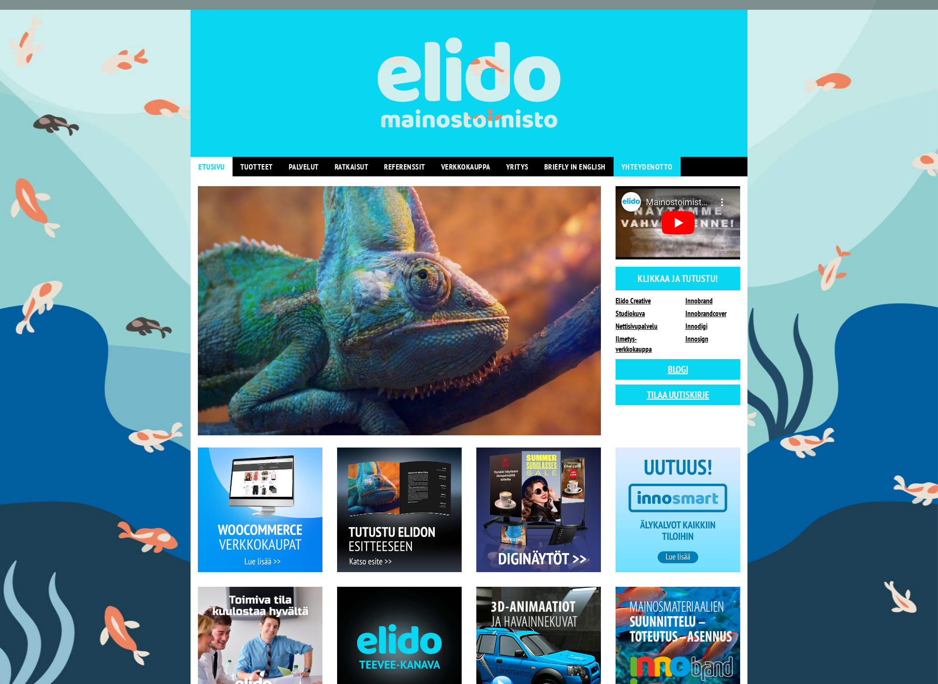 Skärmdump för elido.fi