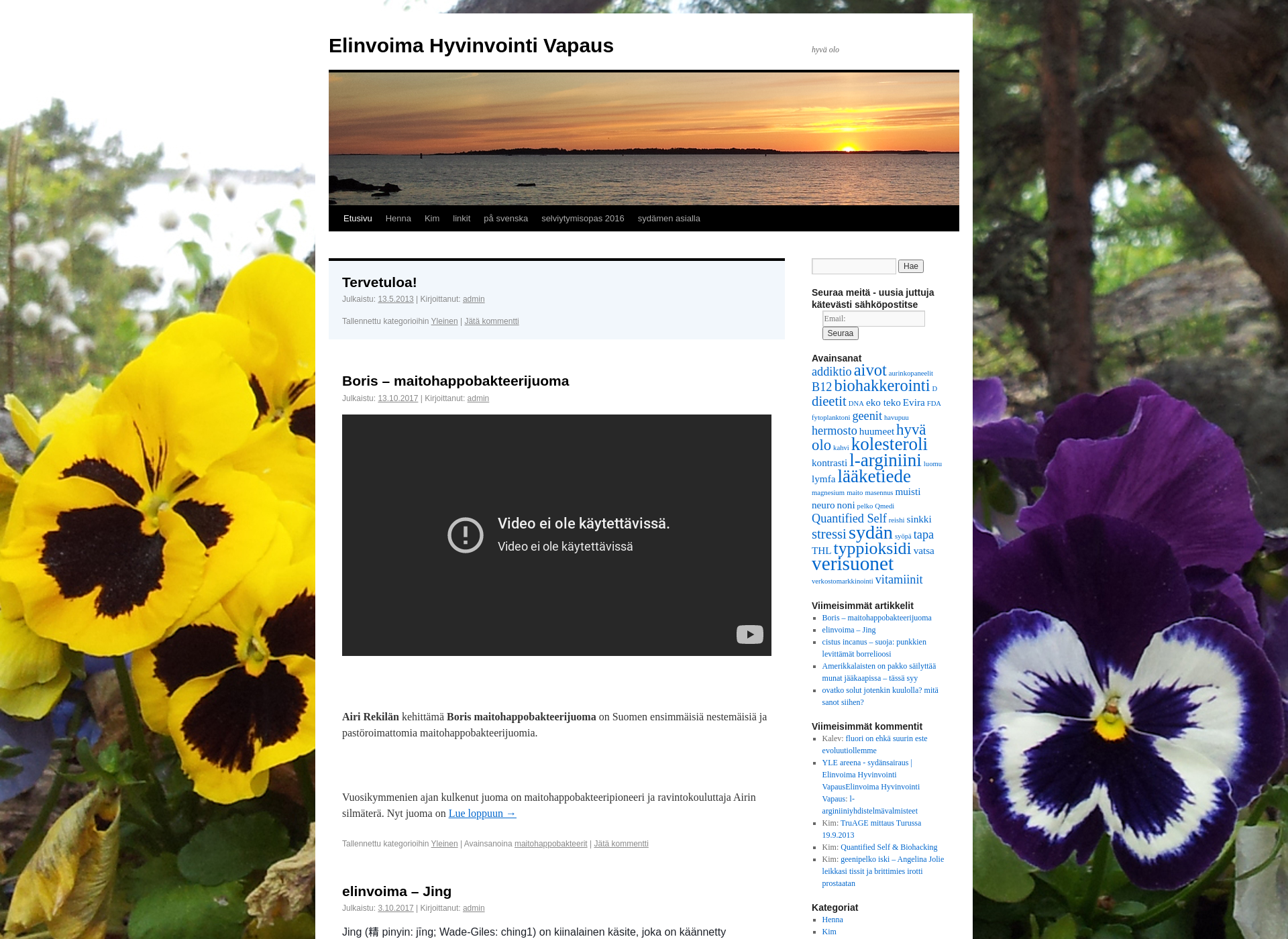 Screenshot for elinvoima.fi