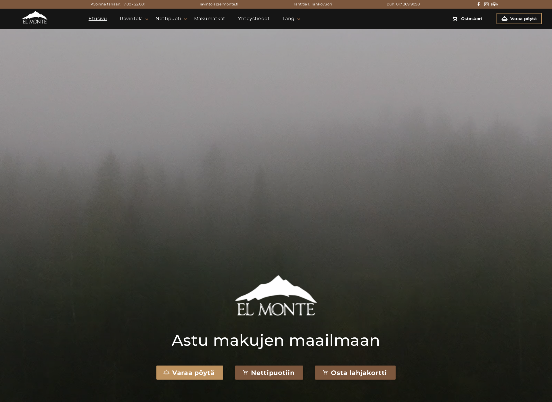 Screenshot for elmonte.fi