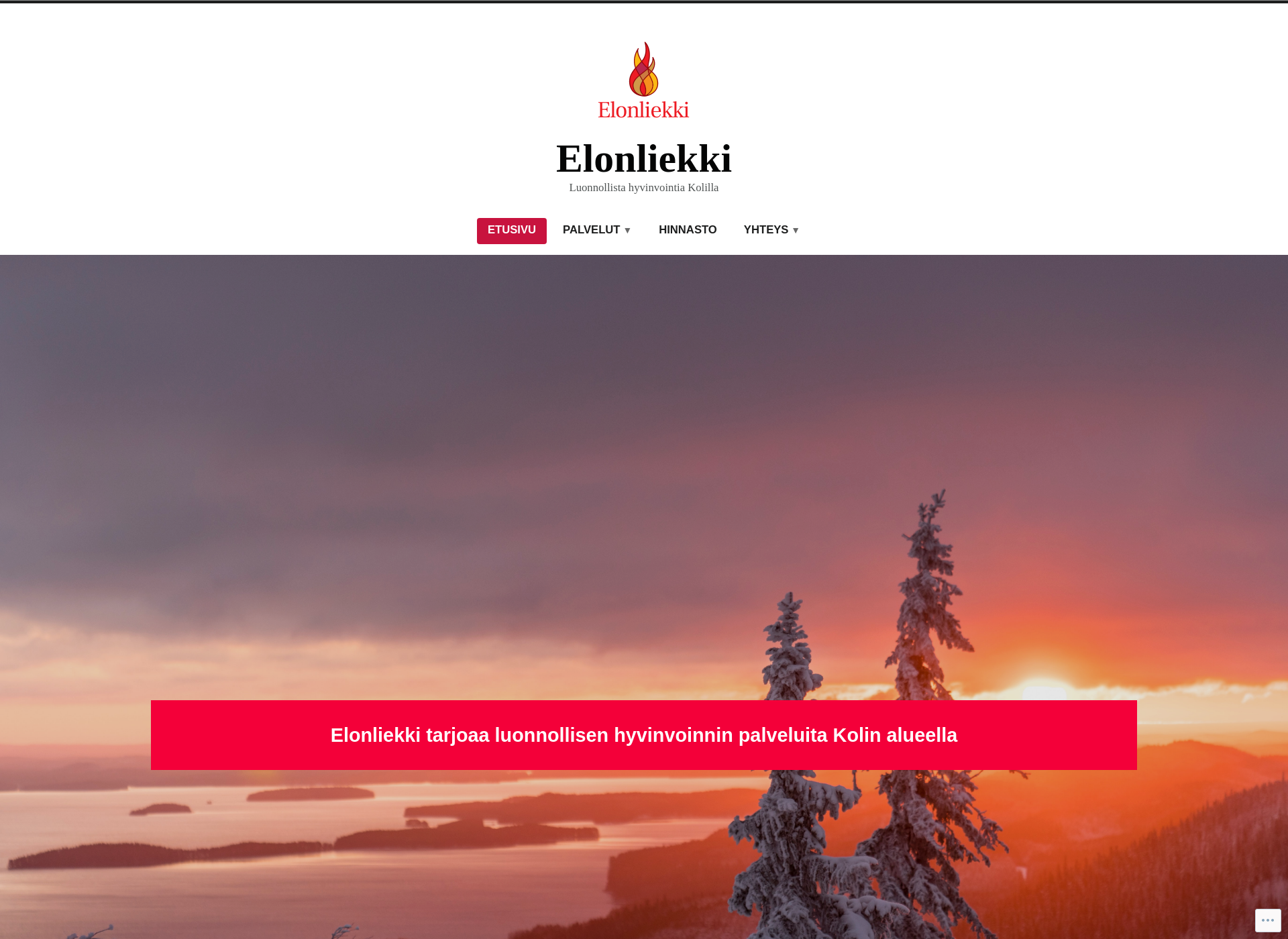 Skärmdump för elonliekki.fi
