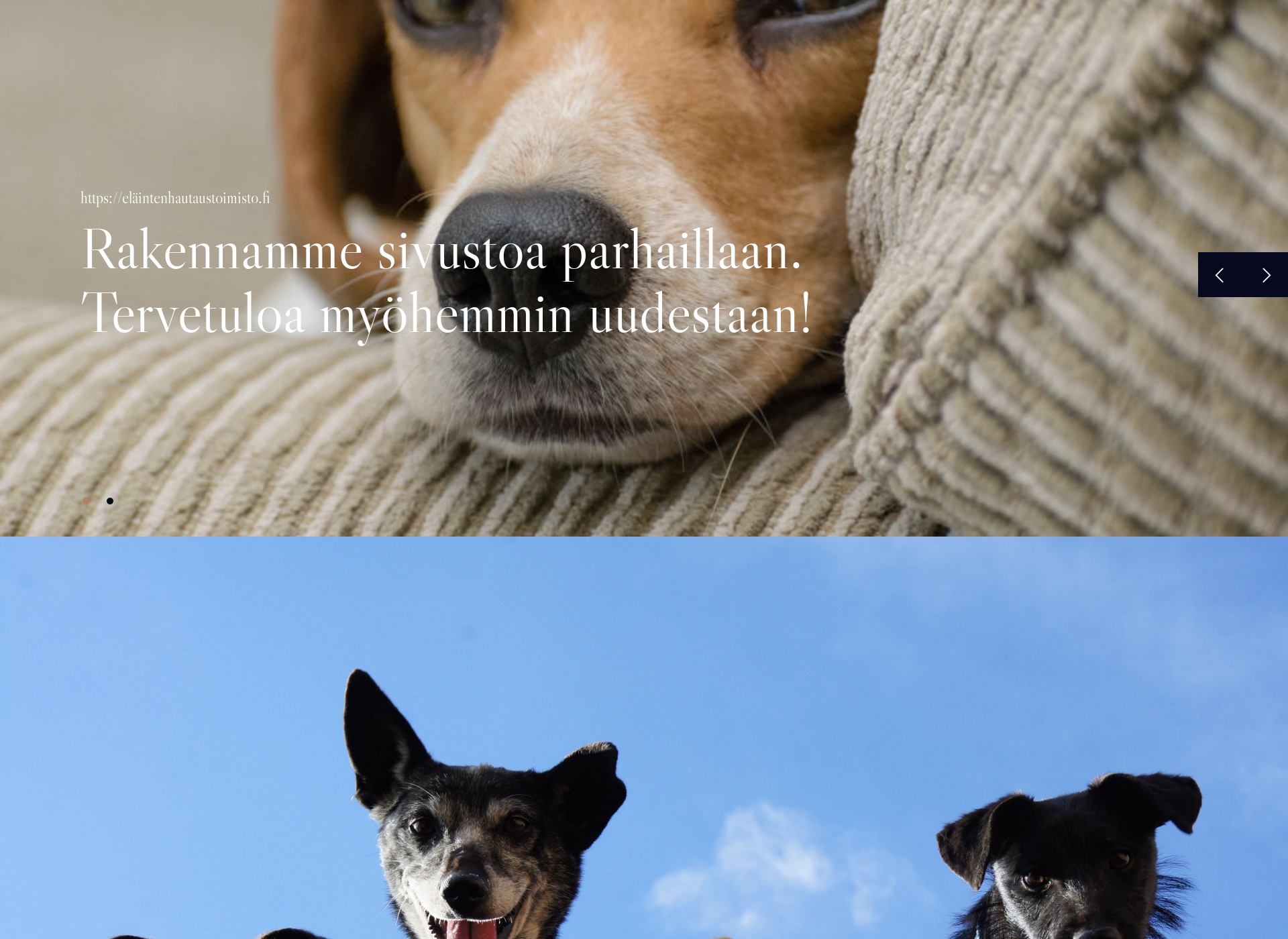 Skärmdump för eläintenhautaustoimisto.fi