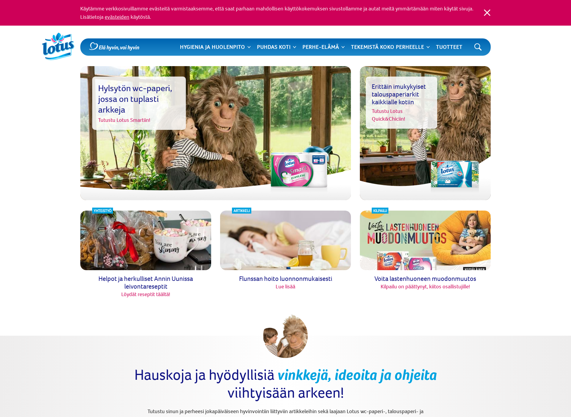 Screenshot for emiliadesign.fi