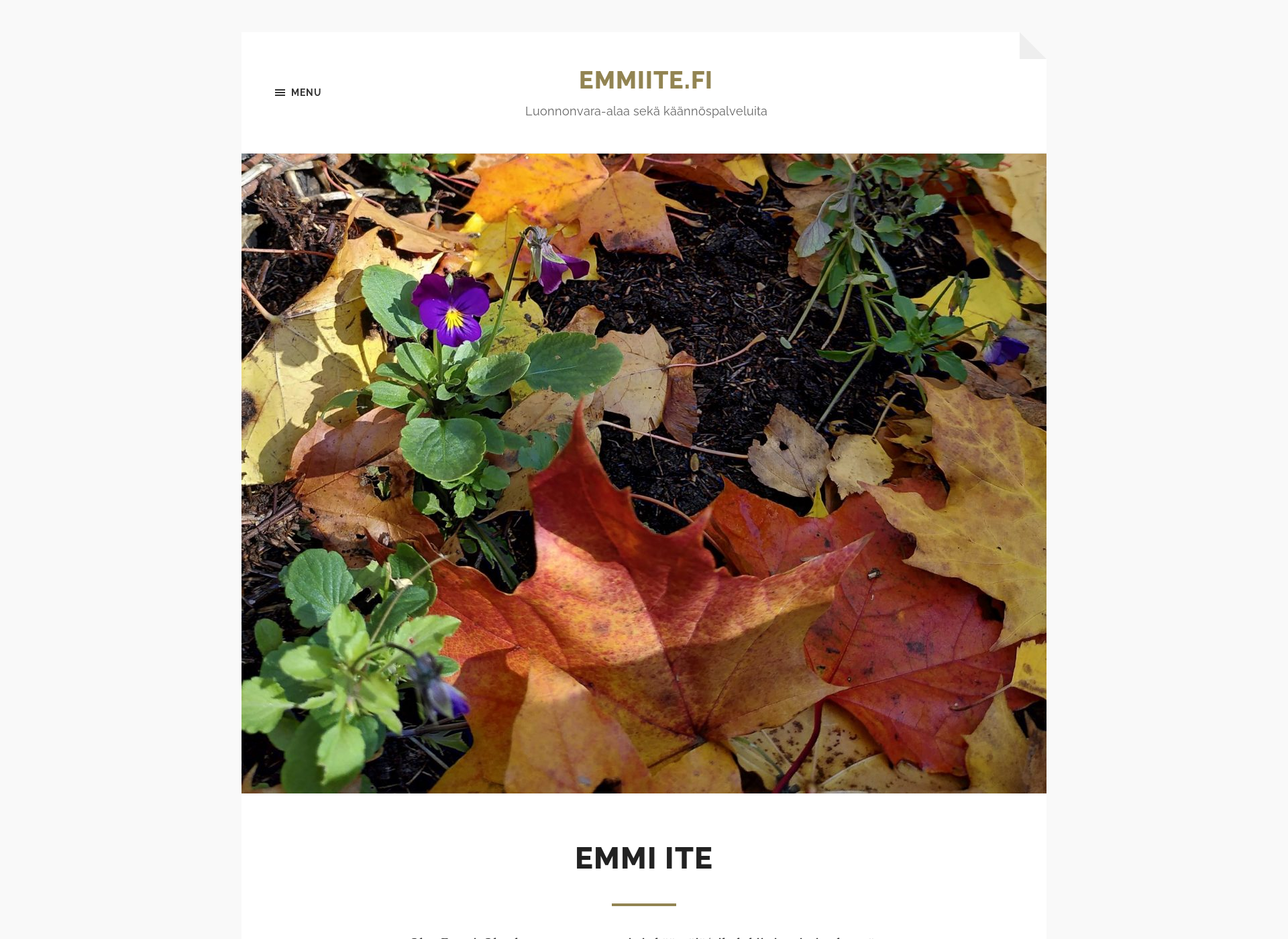 Screenshot for emmiite.fi
