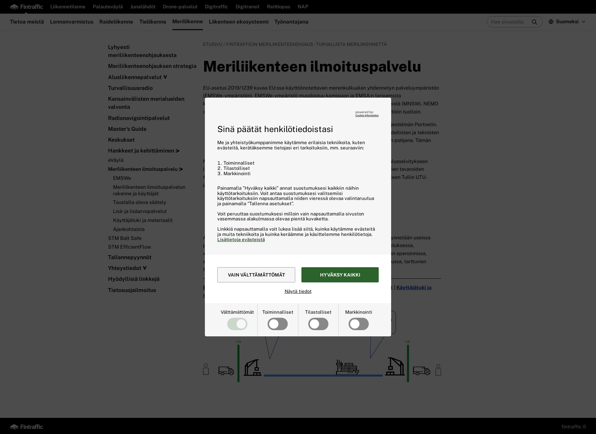 Skärmdump för emswe.fi