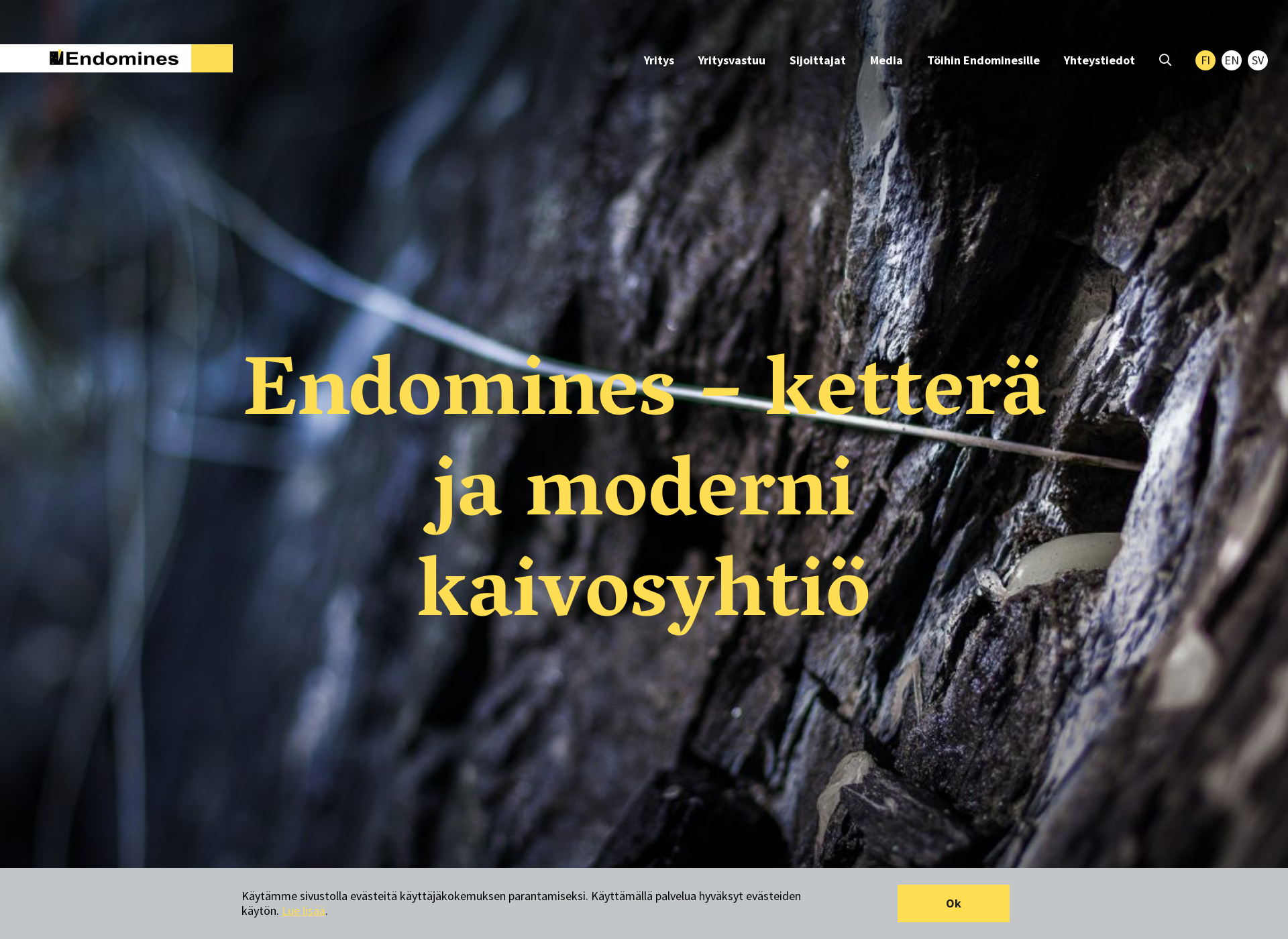 Skärmdump för endomines.fi