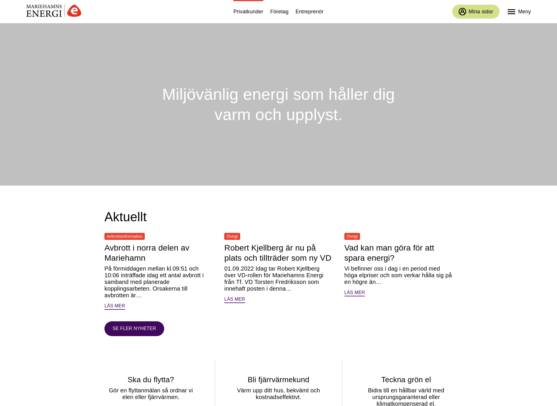 Screenshot for energi.ax