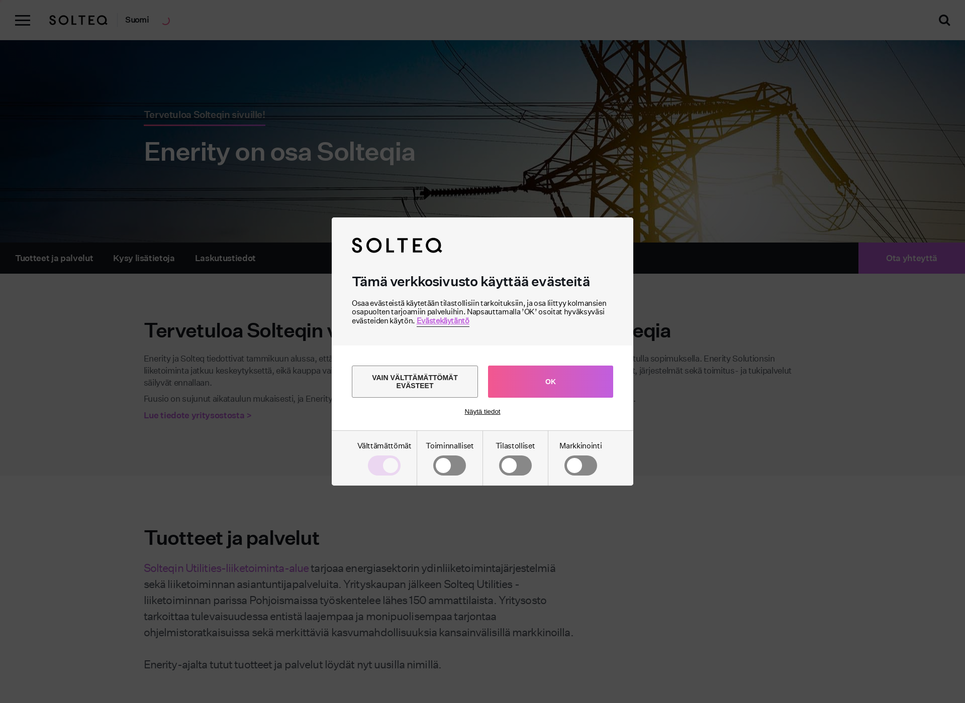 Skärmdump för eneritysolutions.fi