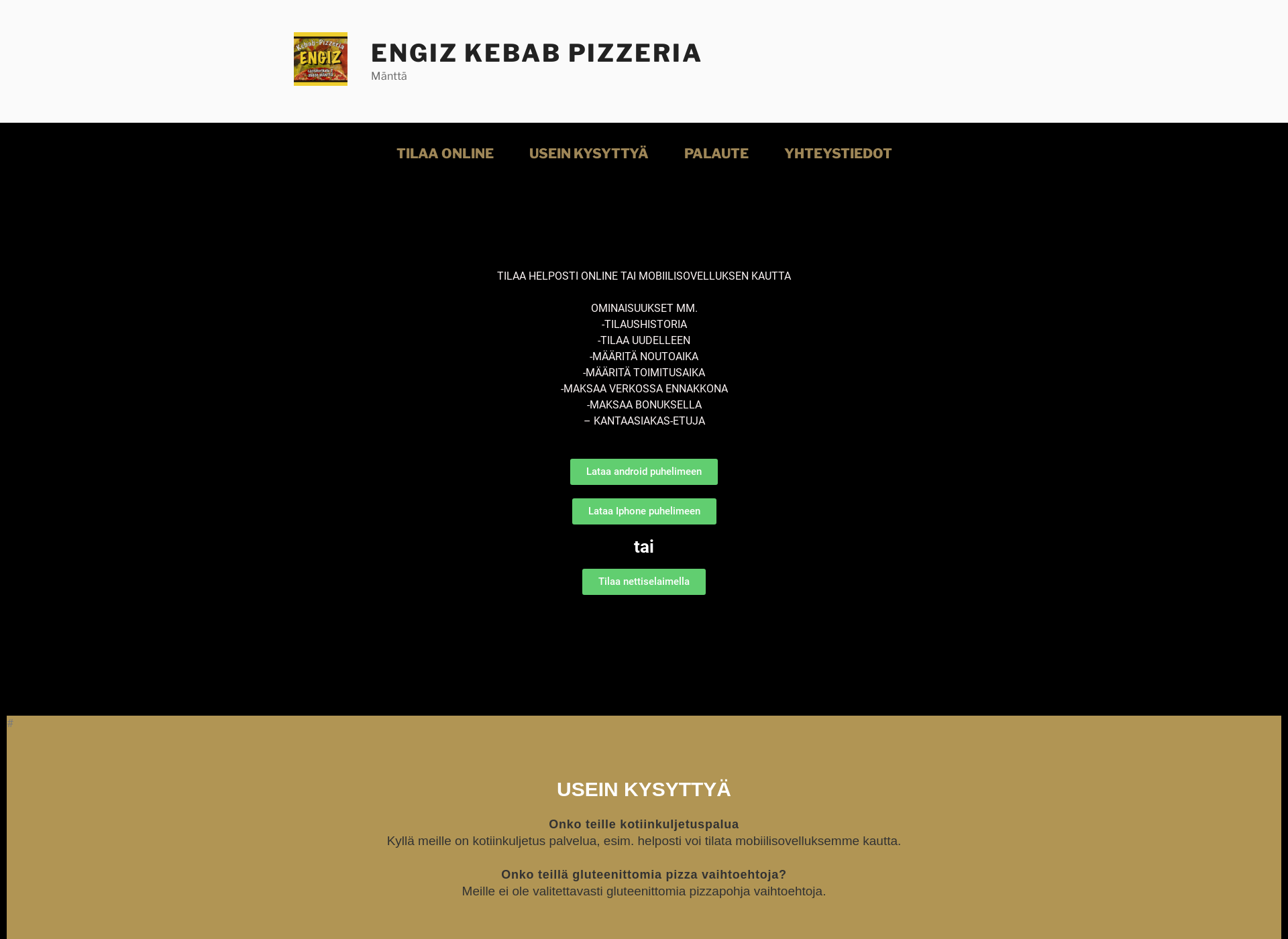 Screenshot for engizkebabpizzeria.fi