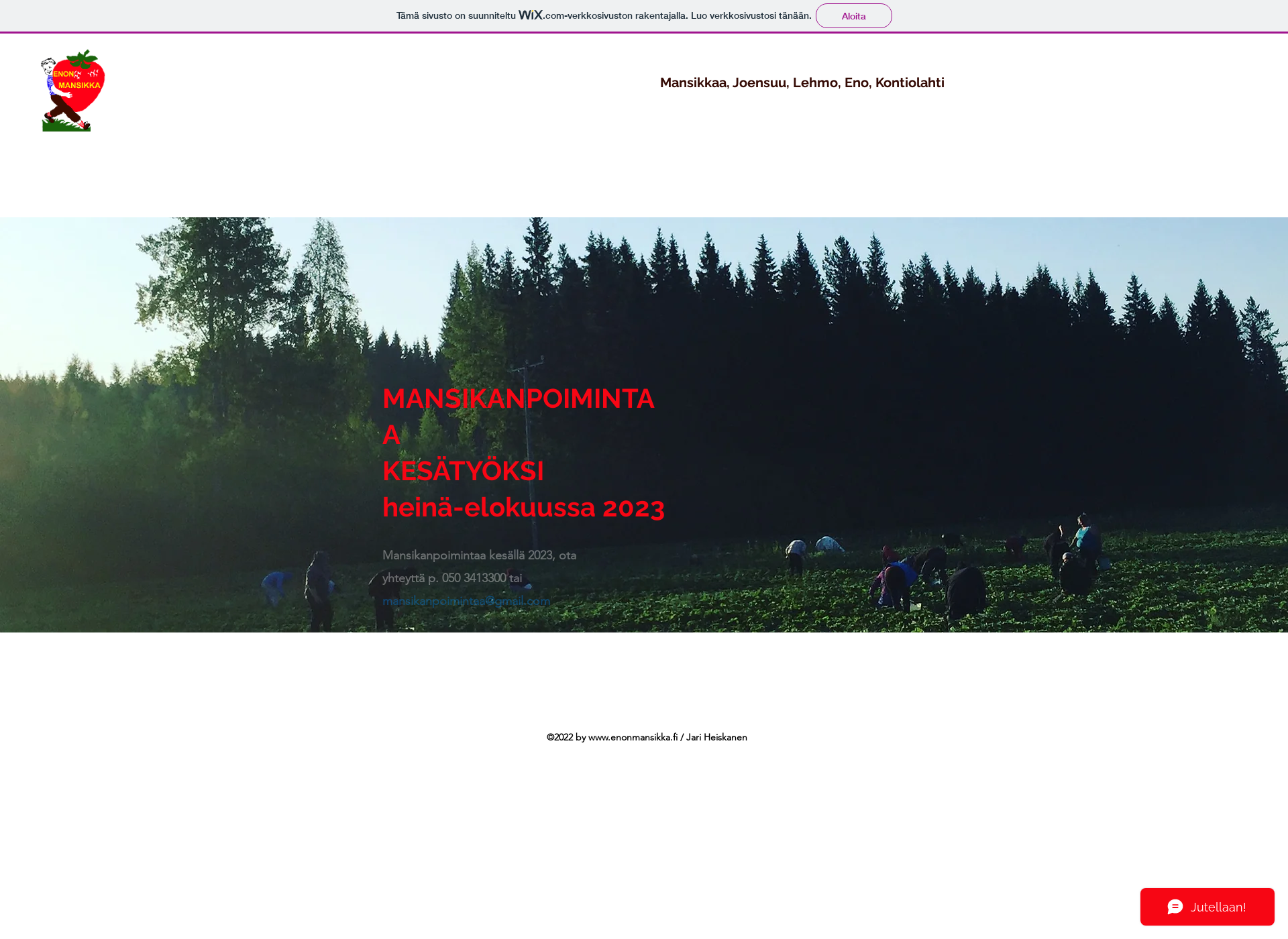 Screenshot for enonmansikka.fi