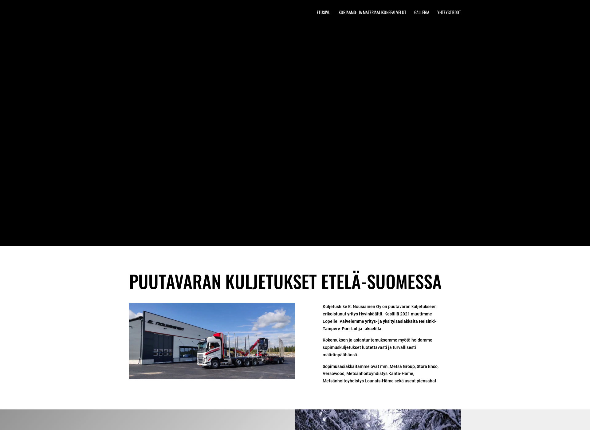 Screenshot for enousiainen.fi