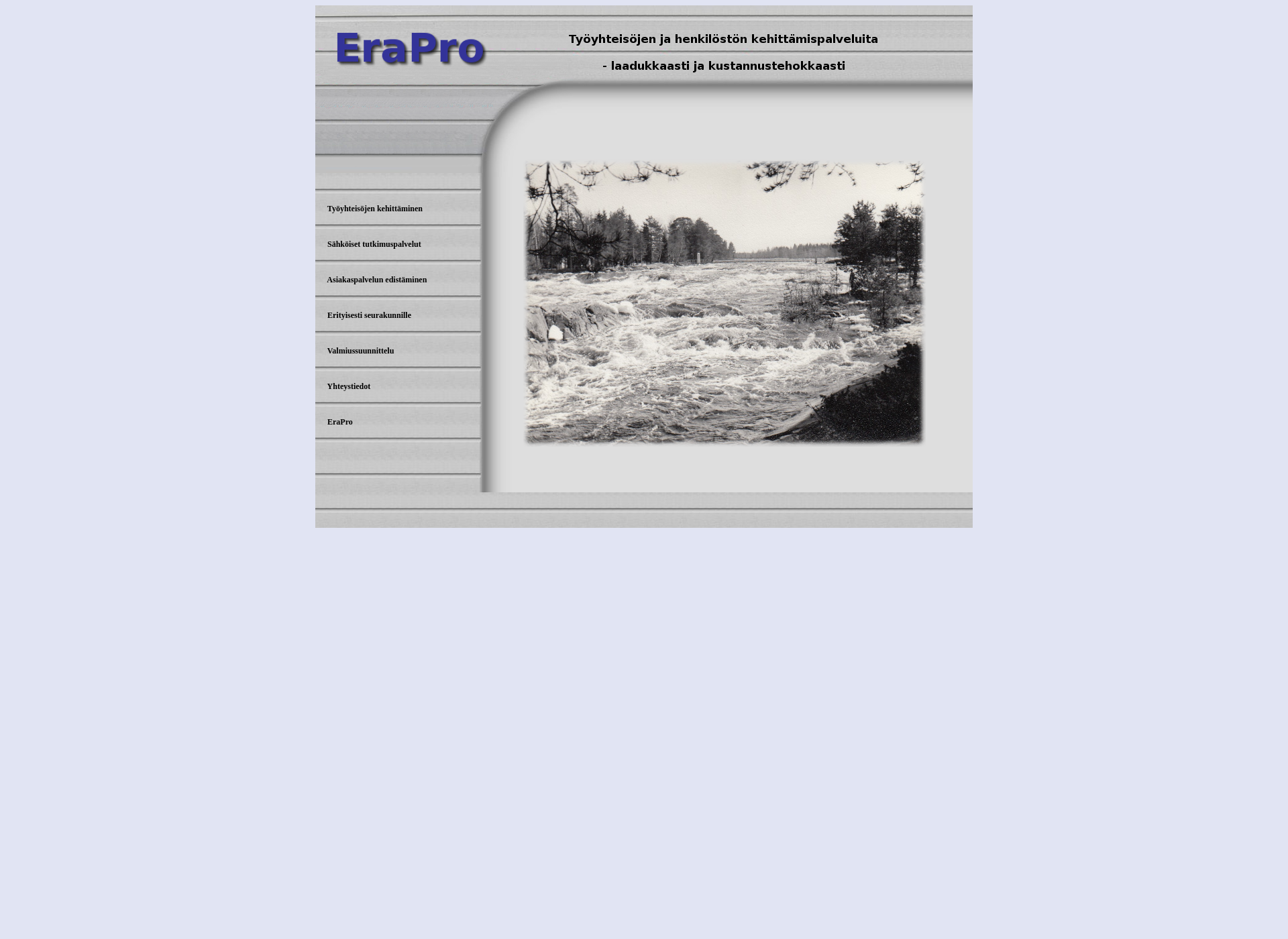 Screenshot for erapro.fi