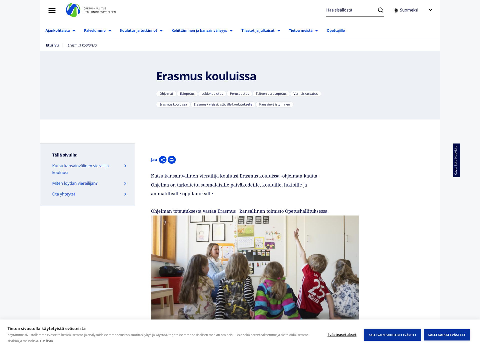 Näyttökuva erasmusinschools.fi