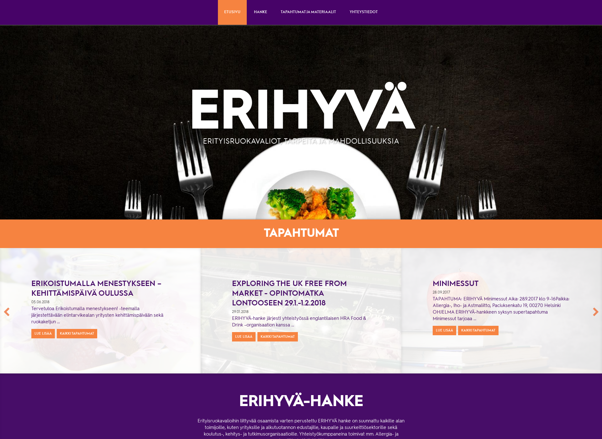 Screenshot for erihyva.fi