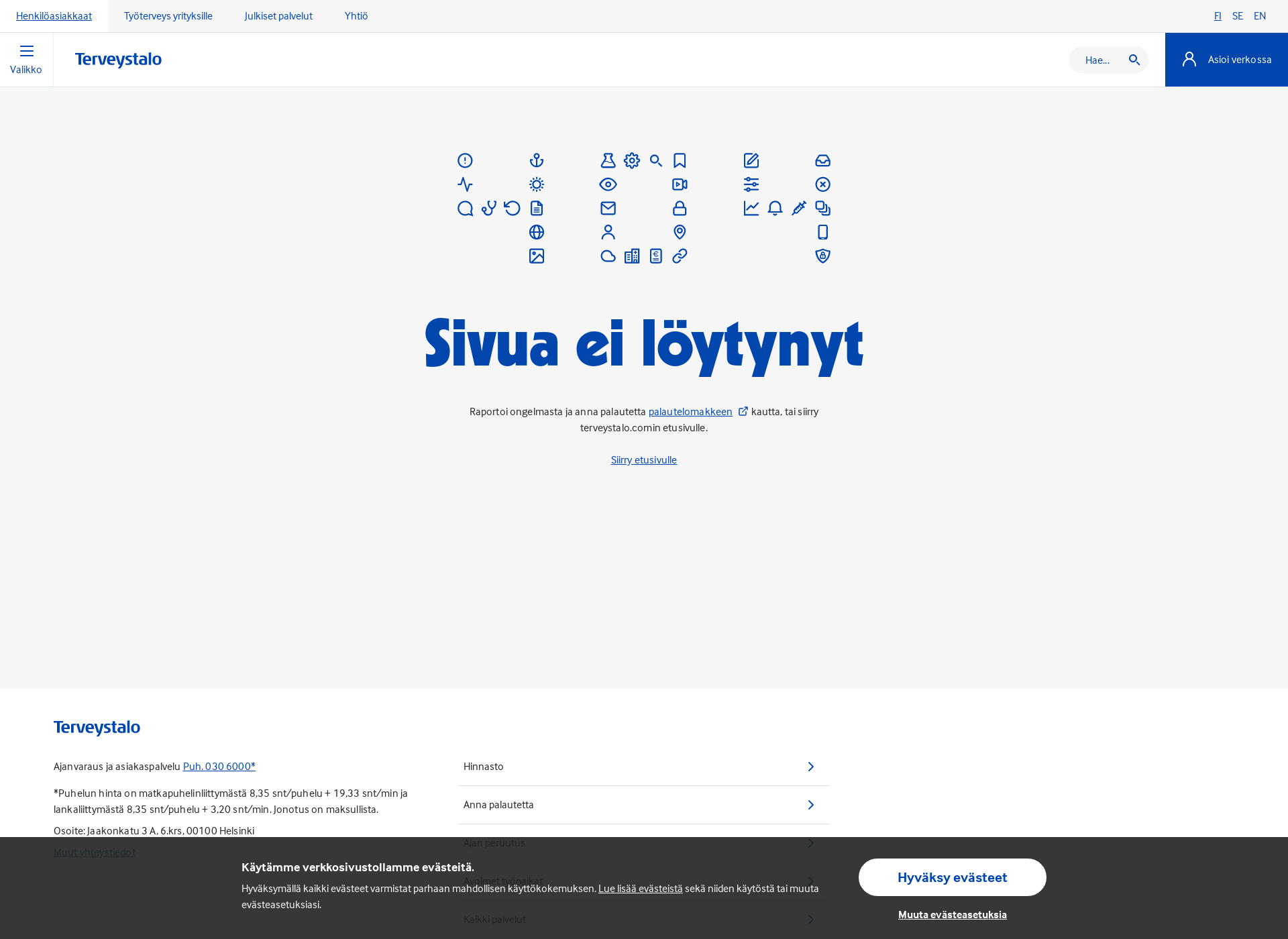 Screenshot for erikoishammashoitola.fi