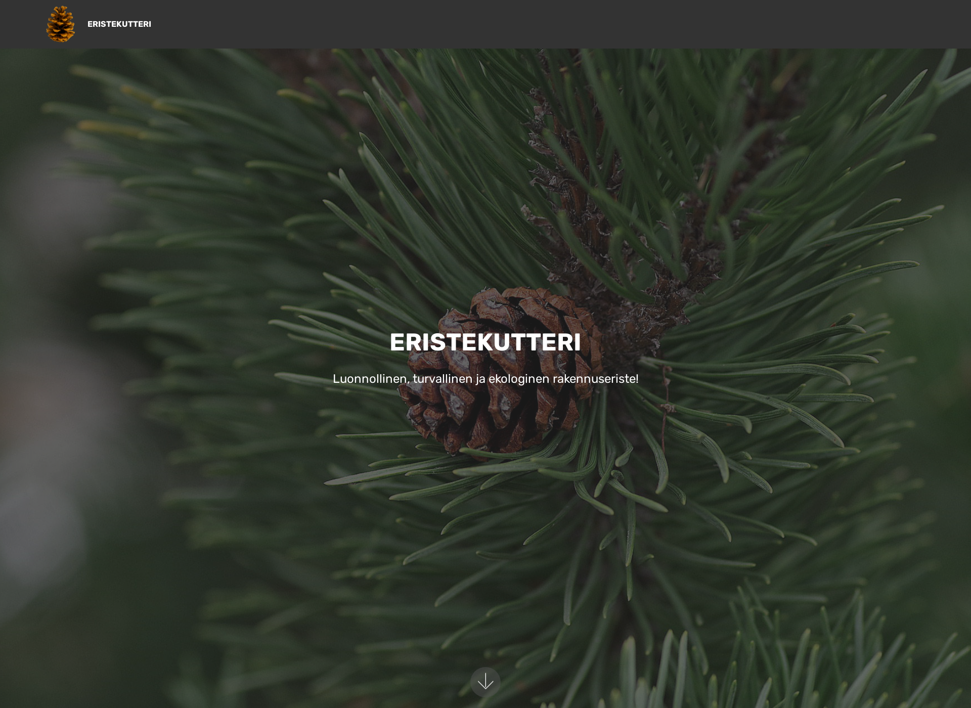 Screenshot for eristekutteri.fi