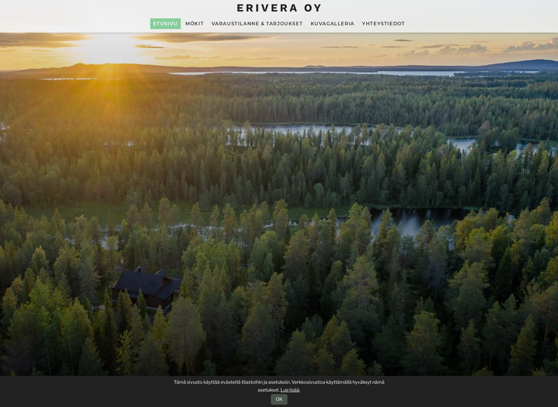 Screenshot for erivera.fi