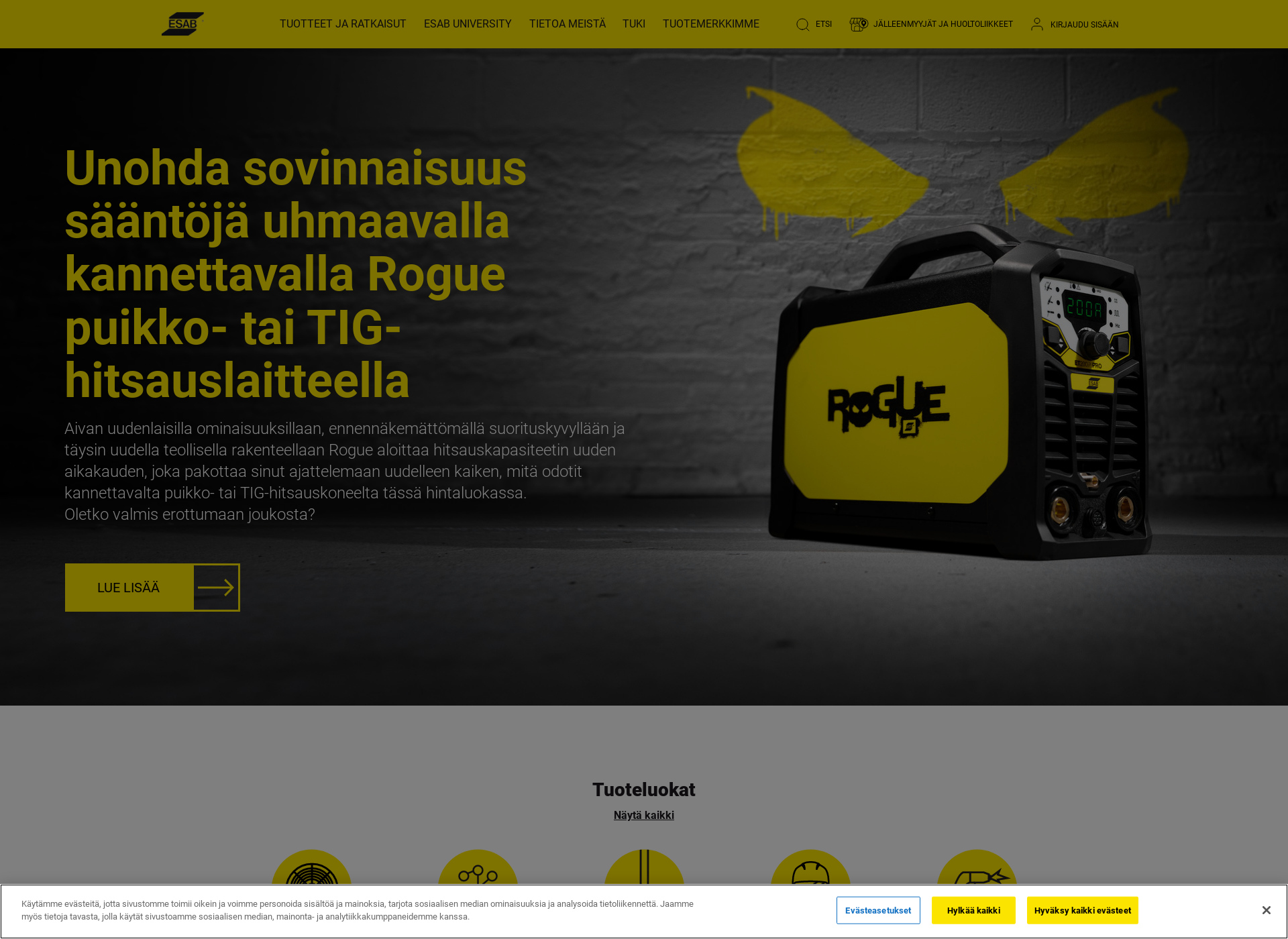 Skärmdump för esab.fi