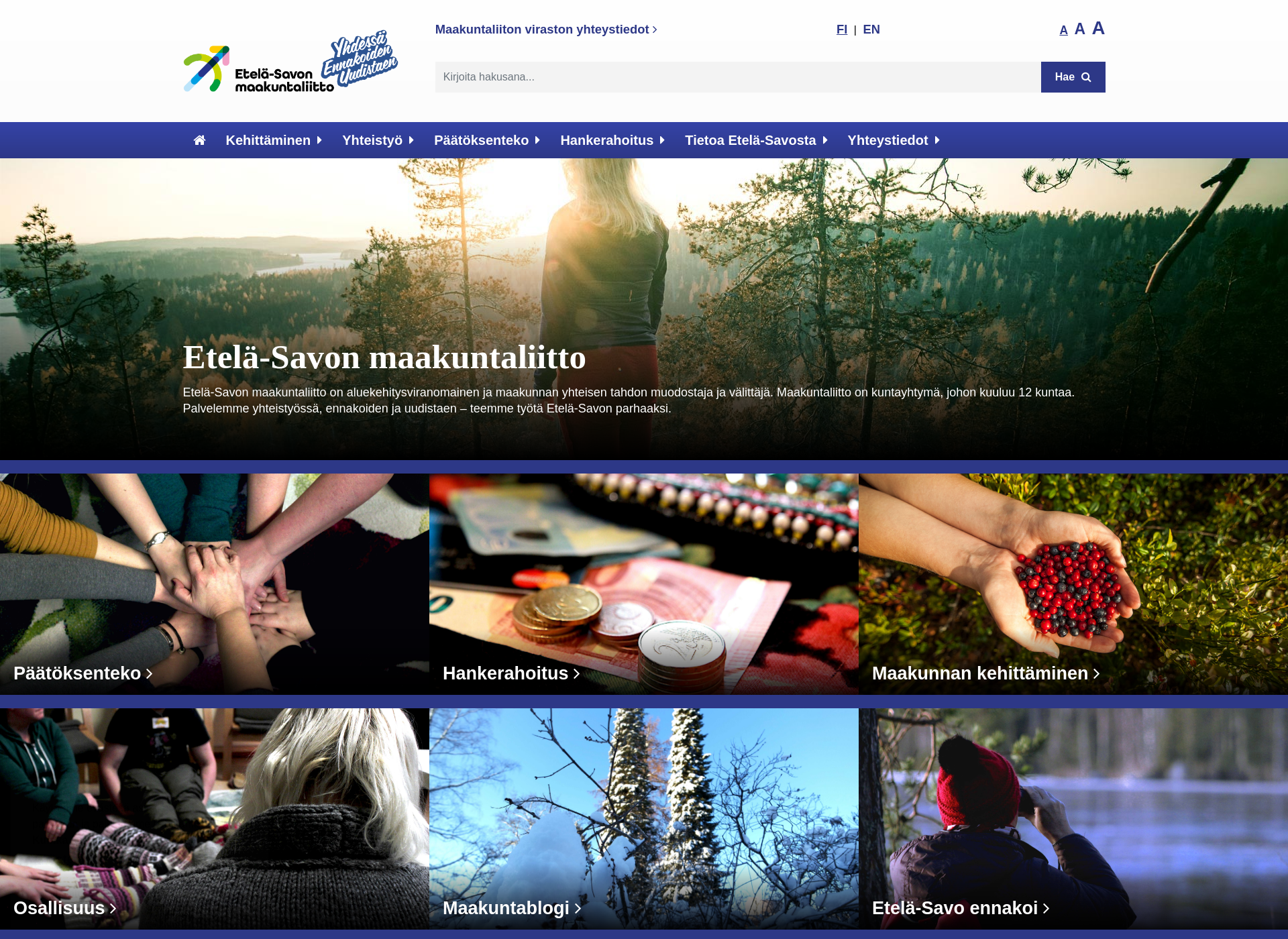 Screenshot for esavo.fi