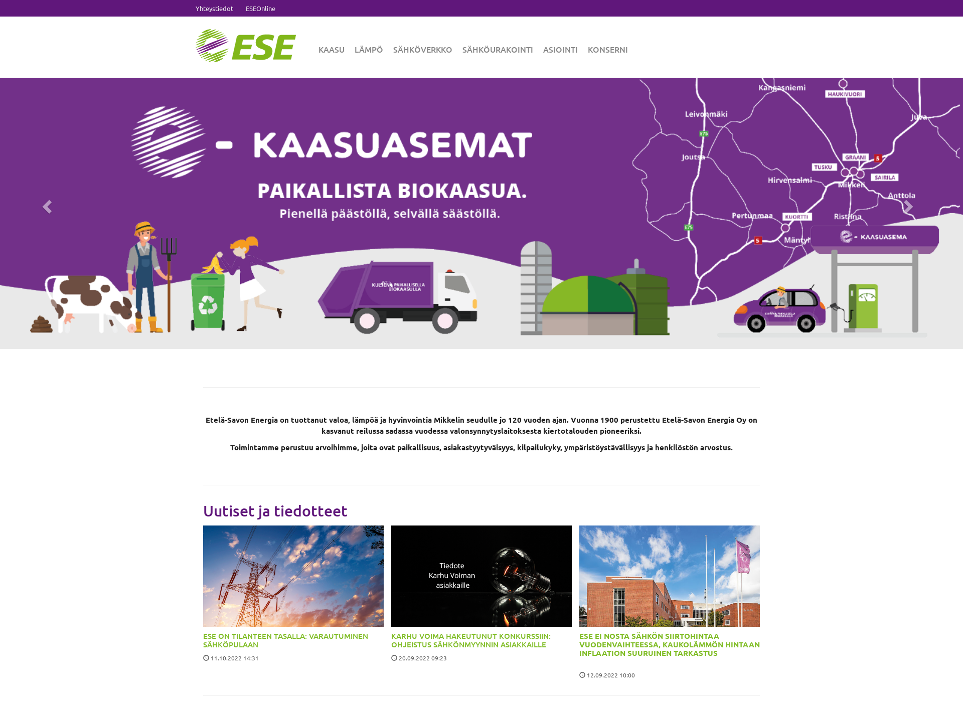 Screenshot for ese.fi