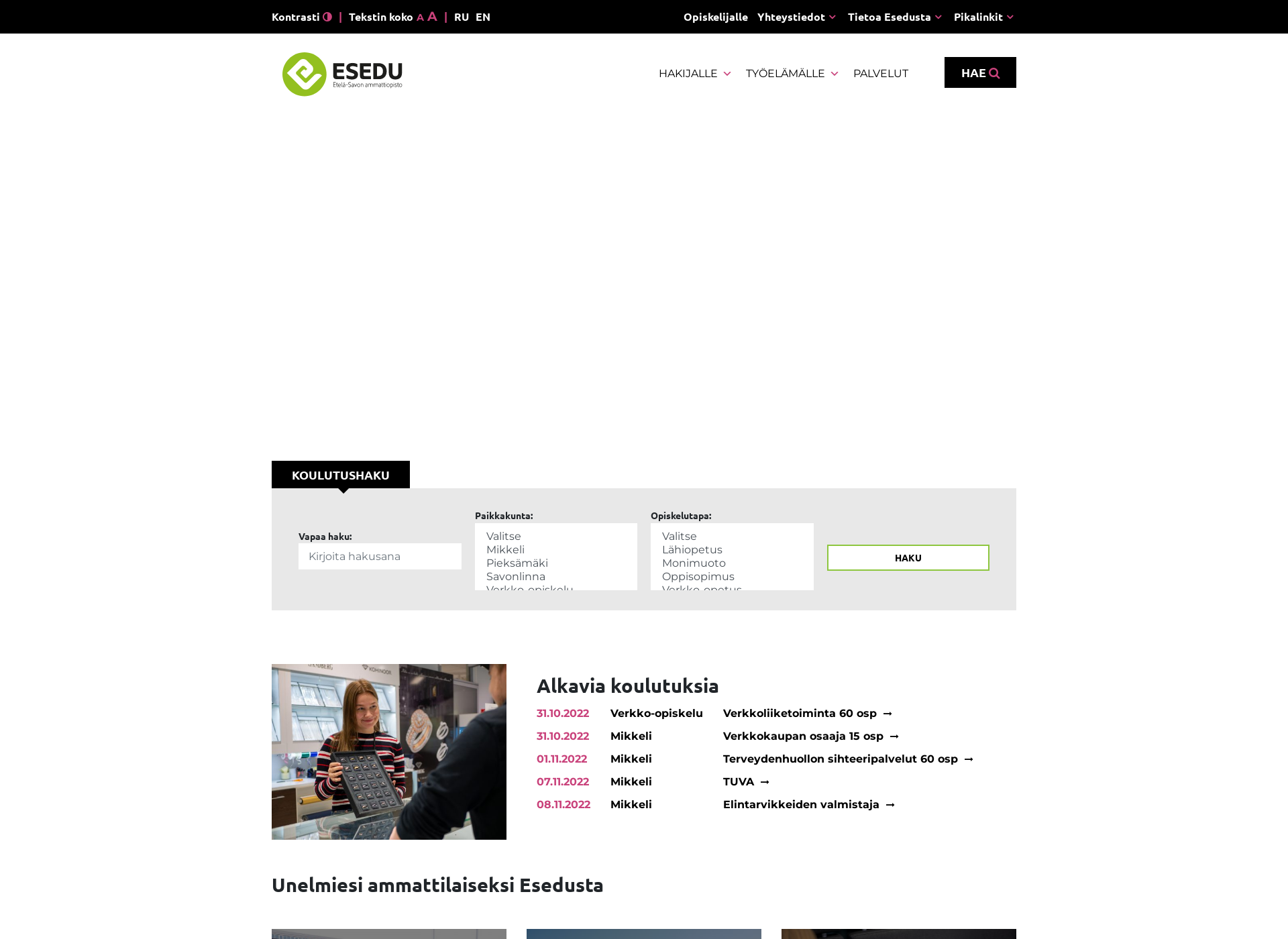 Screenshot for esedulainen.fi