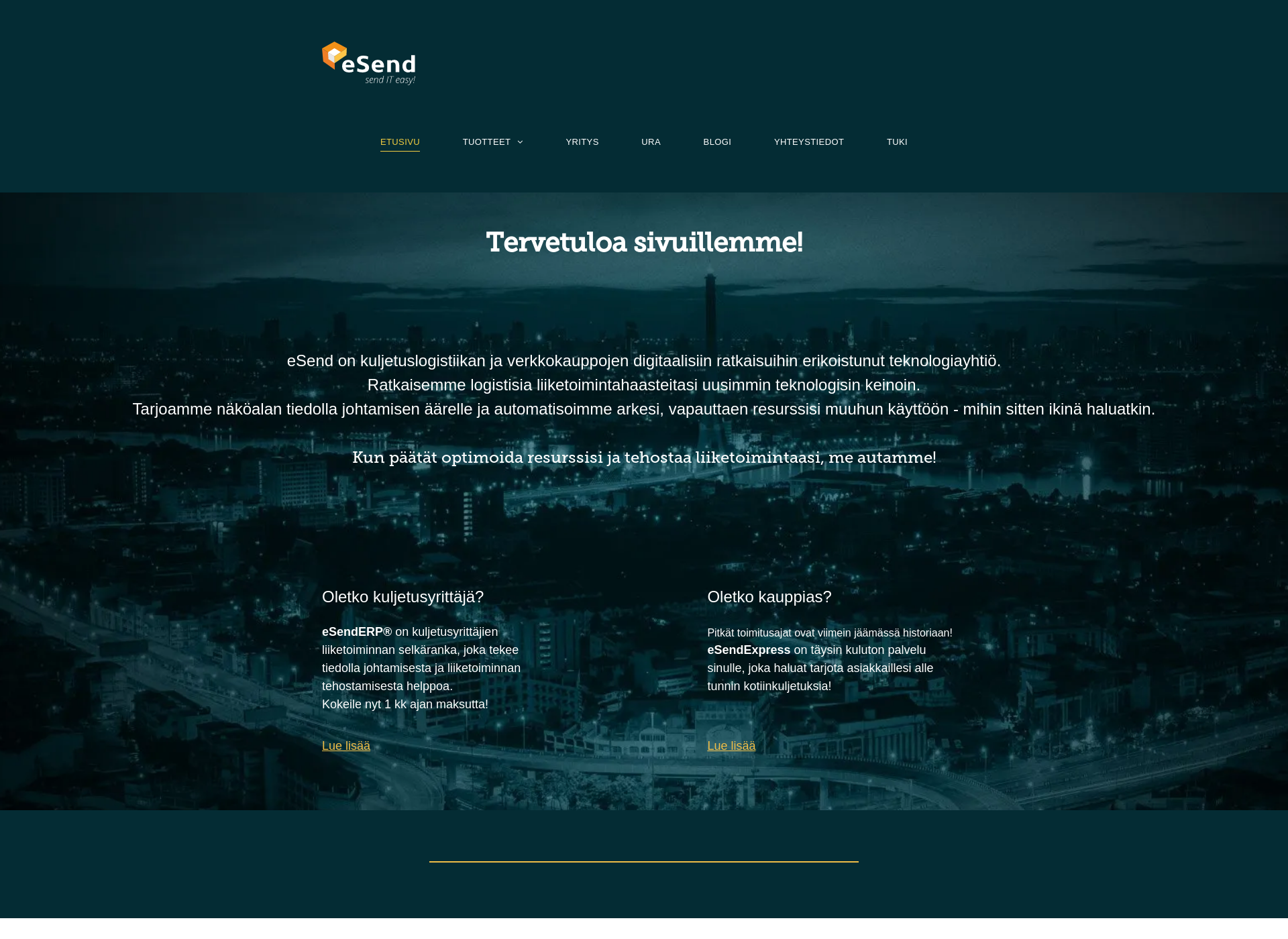 Screenshot for esender.fi